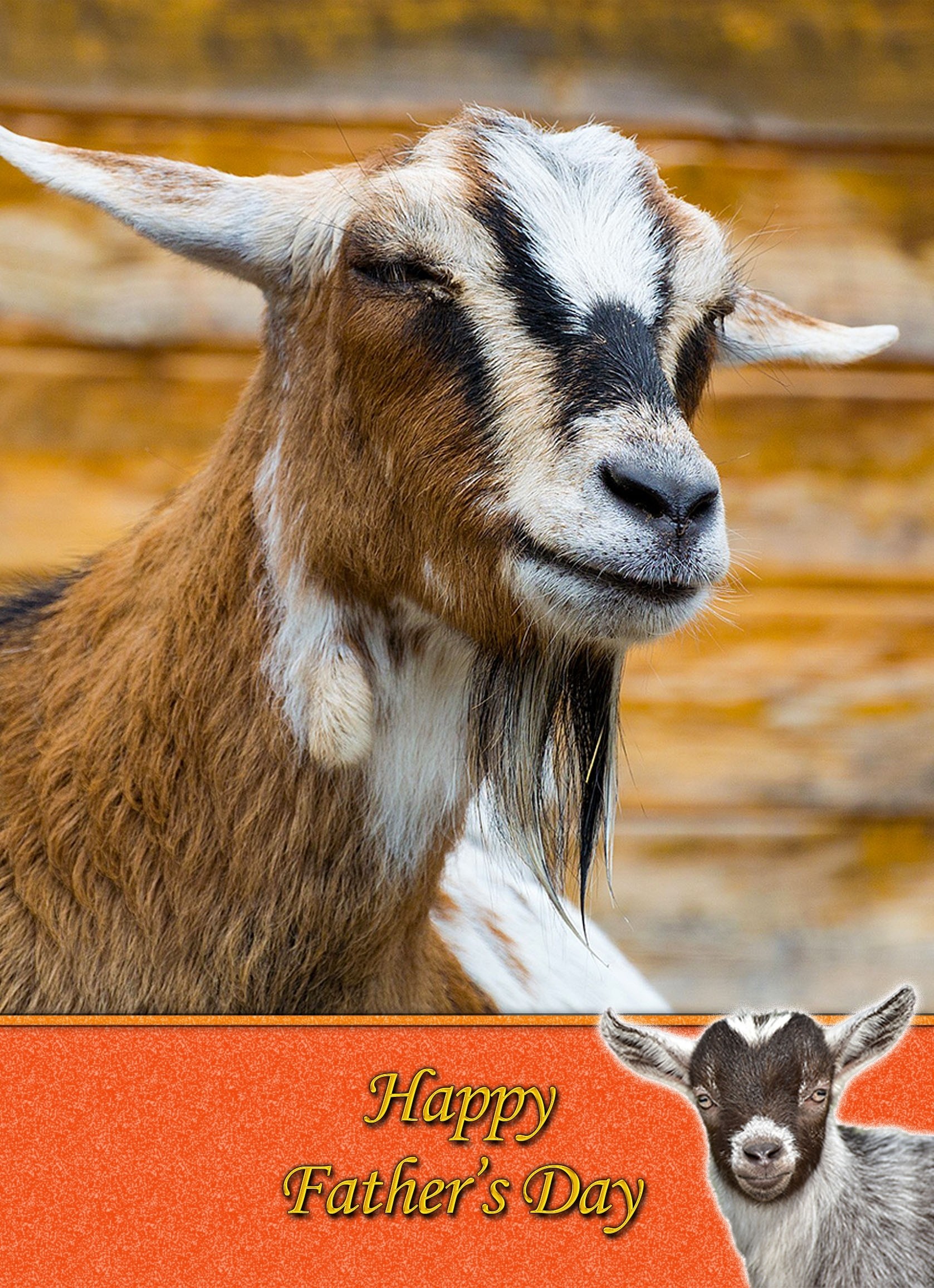 Goat Father's Day Card