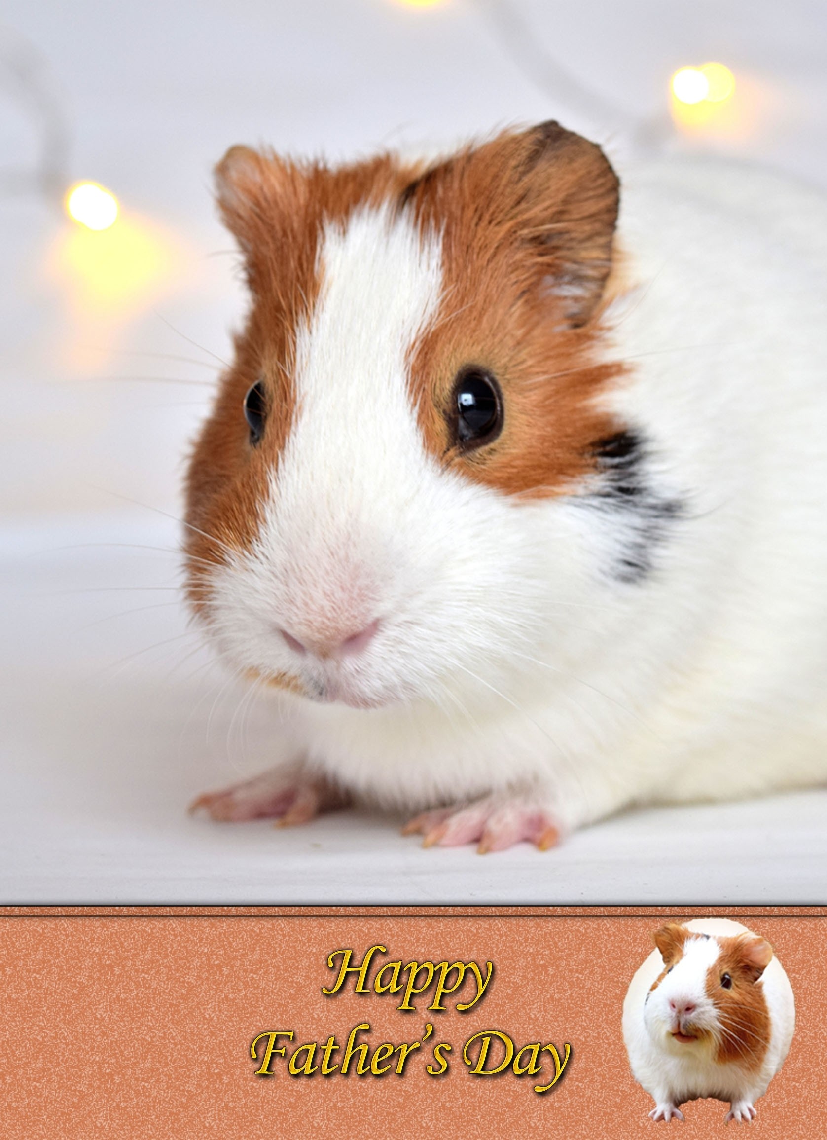 Guinea Pig Father's Day Card