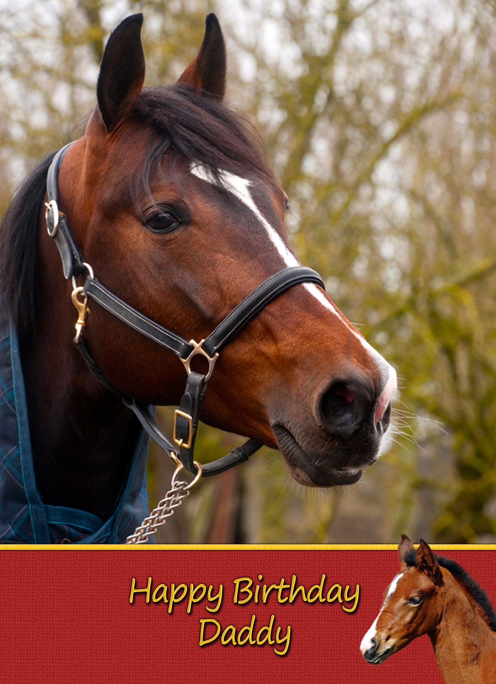 Personalised Horse Card