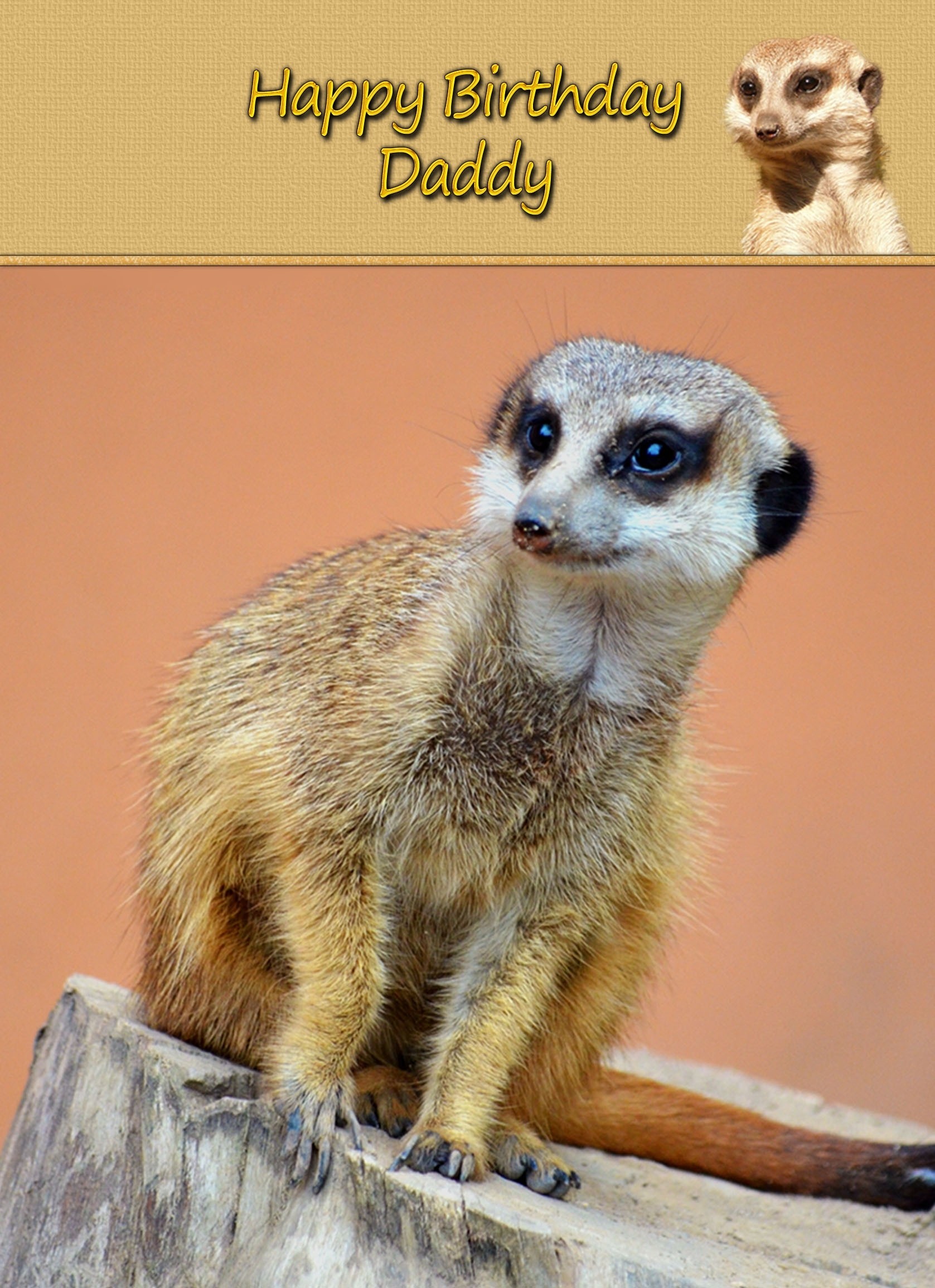 Personalised Meerkat Card