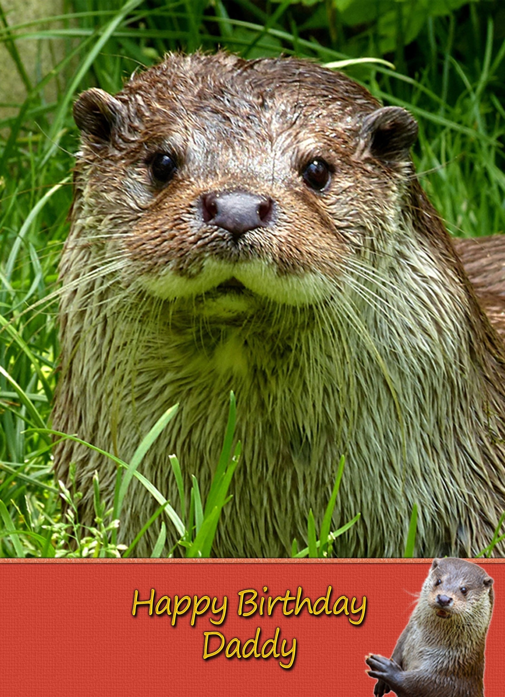 Personalised Otter Card