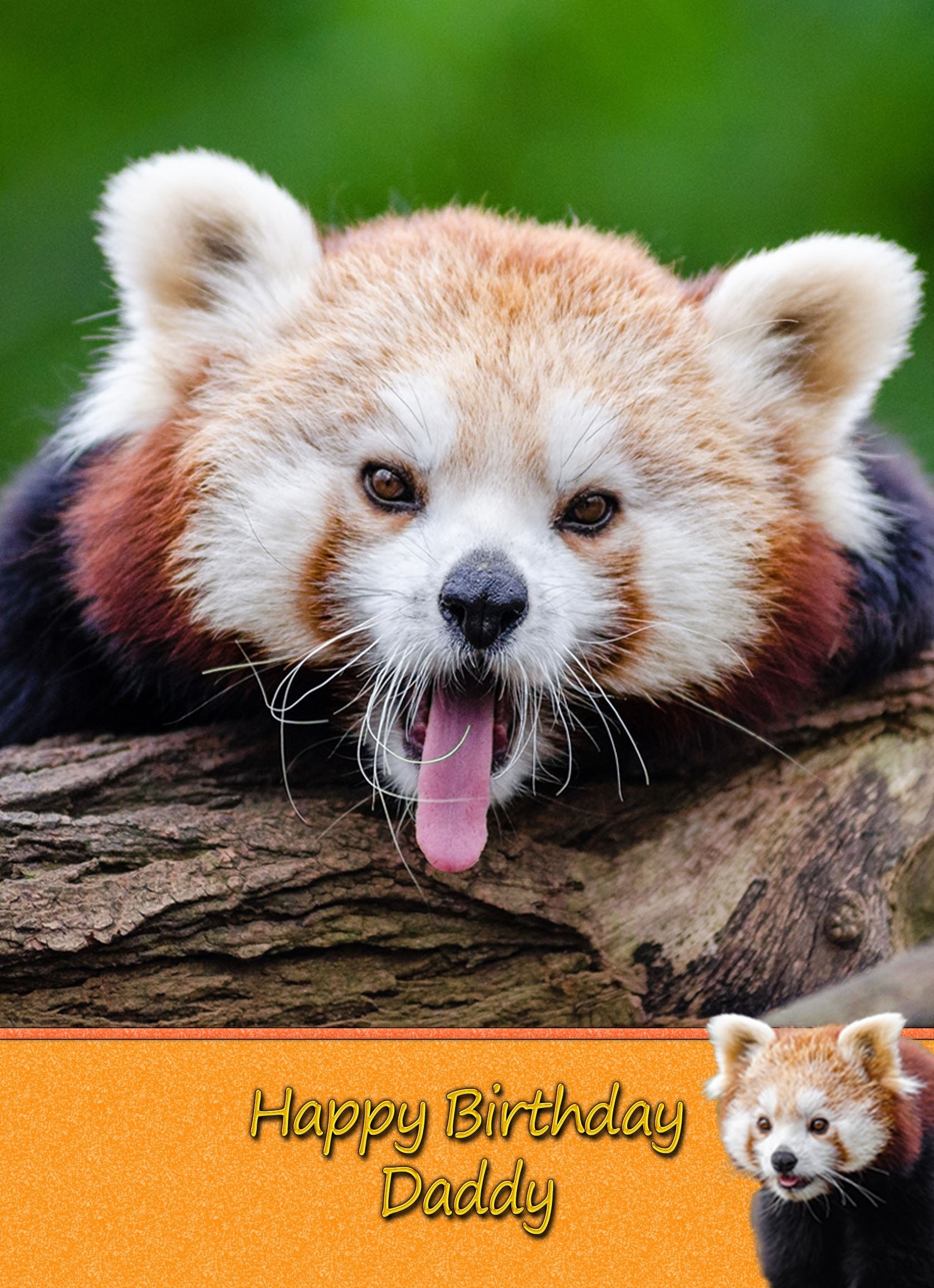 Personalised Red Panda Card