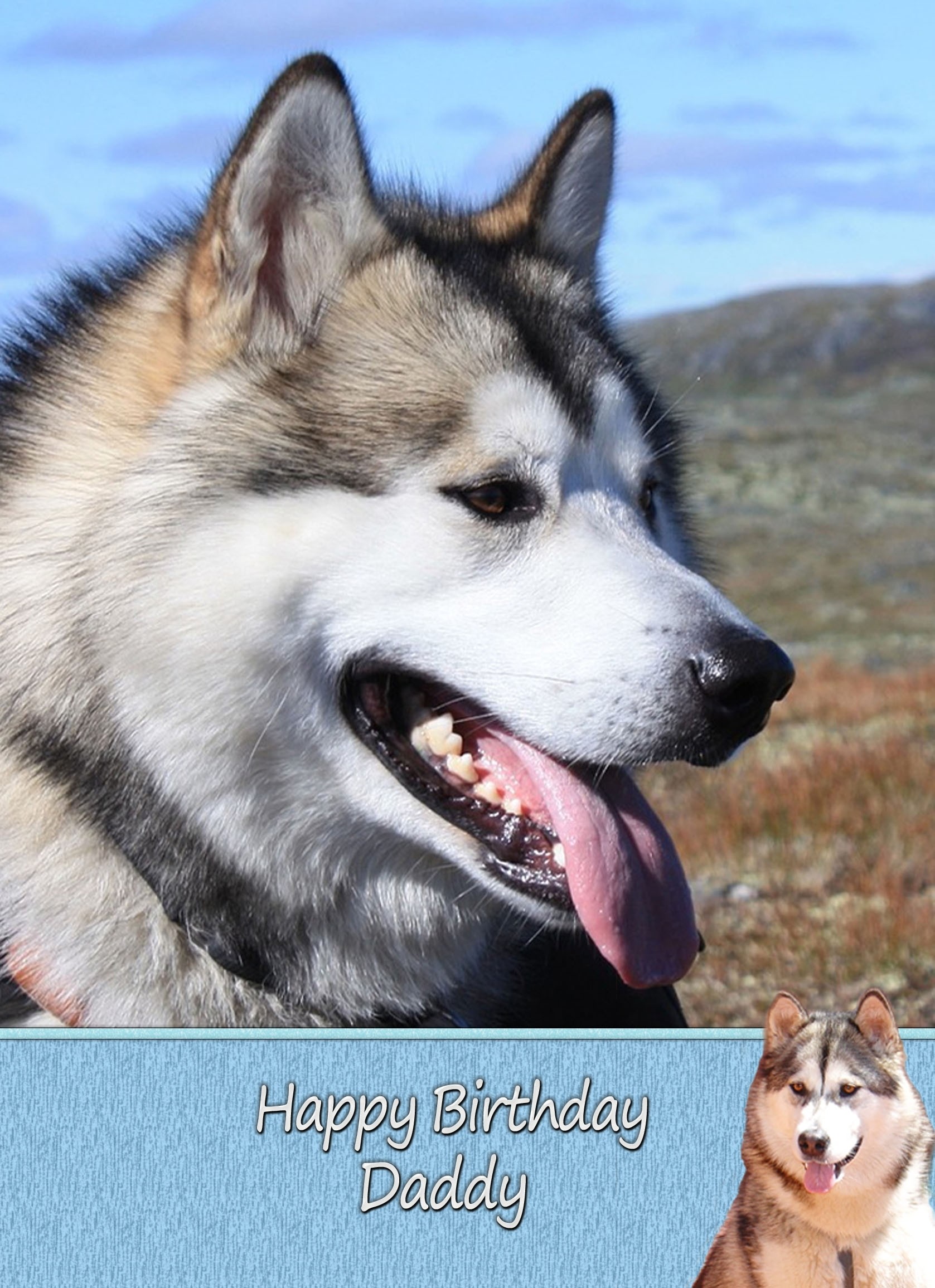 Personalised Alaskan Malamute Card