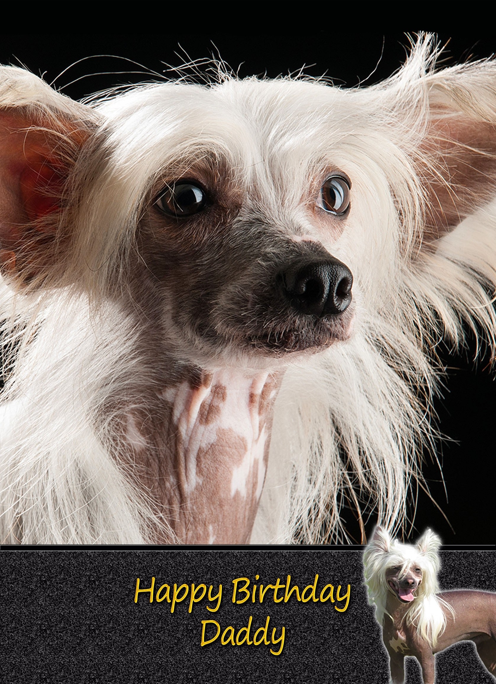 Personalised Chinese Crested Dog Card