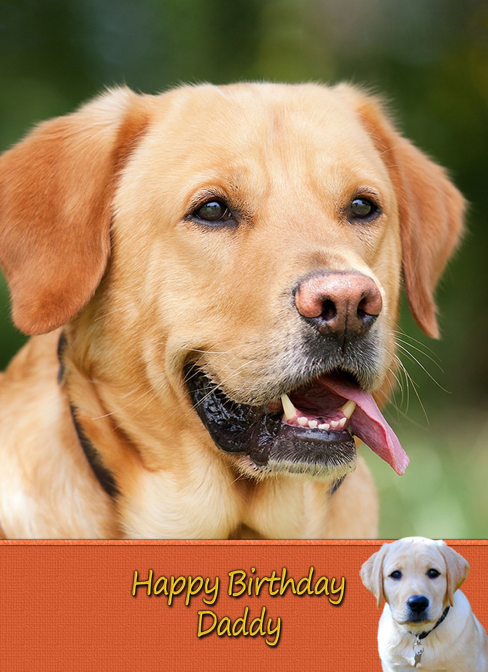Personalised Golden Labrador Card