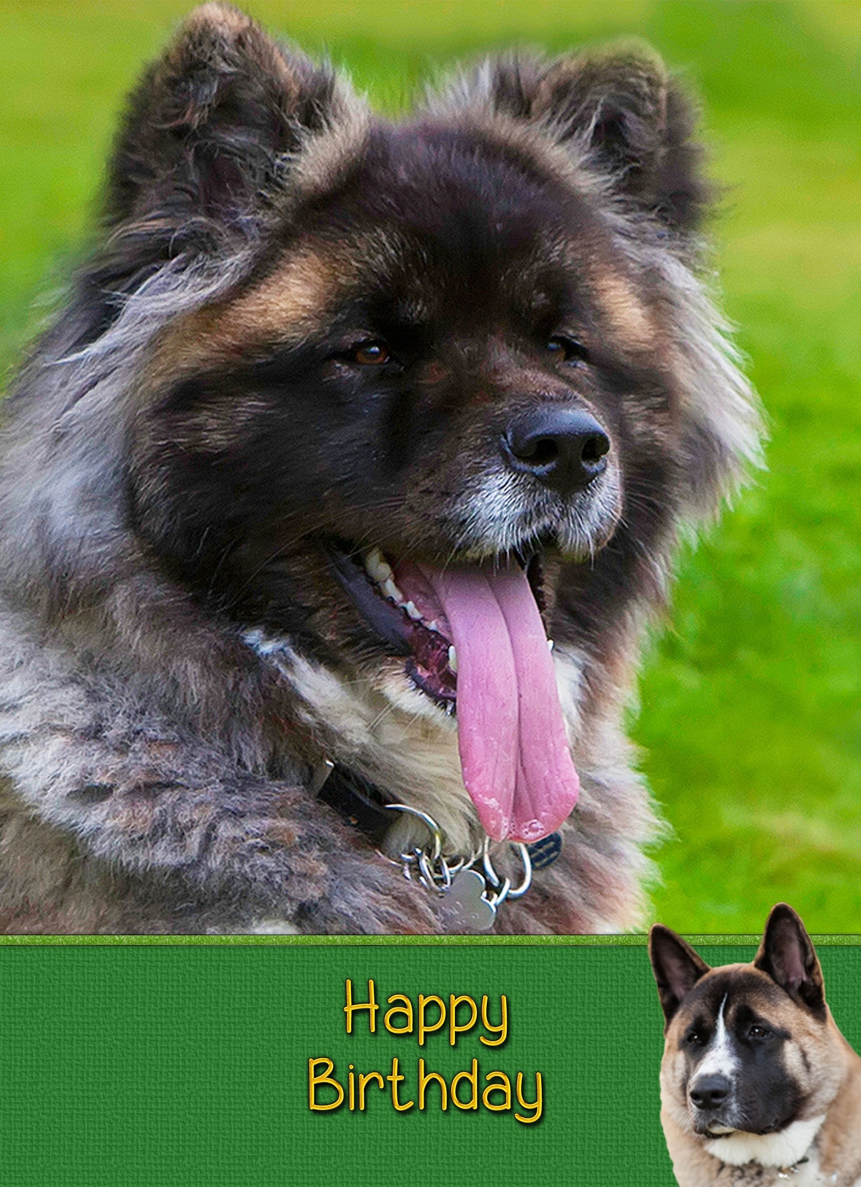 Akita Dog Birthday Card