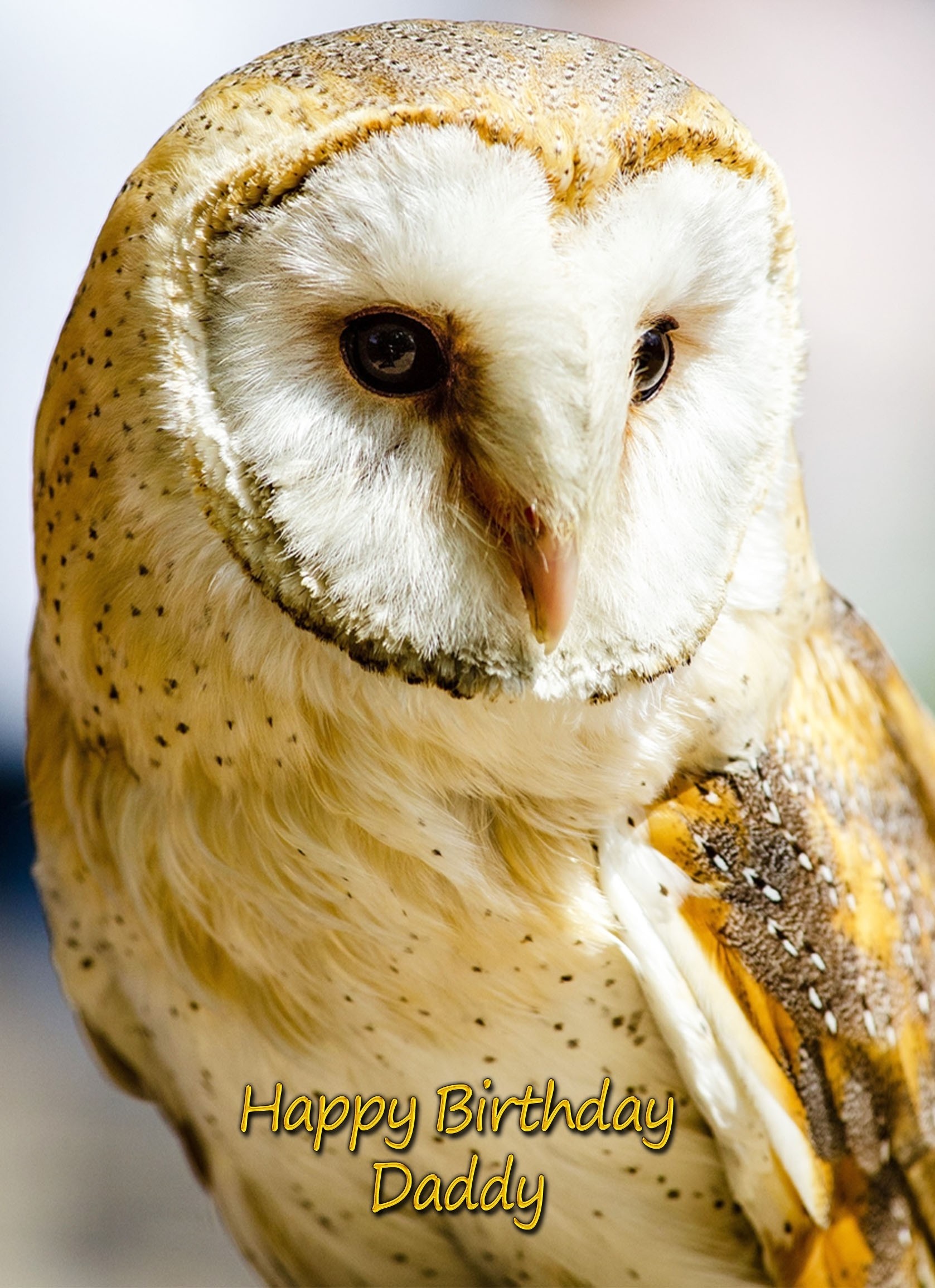 Personalised Owl Card