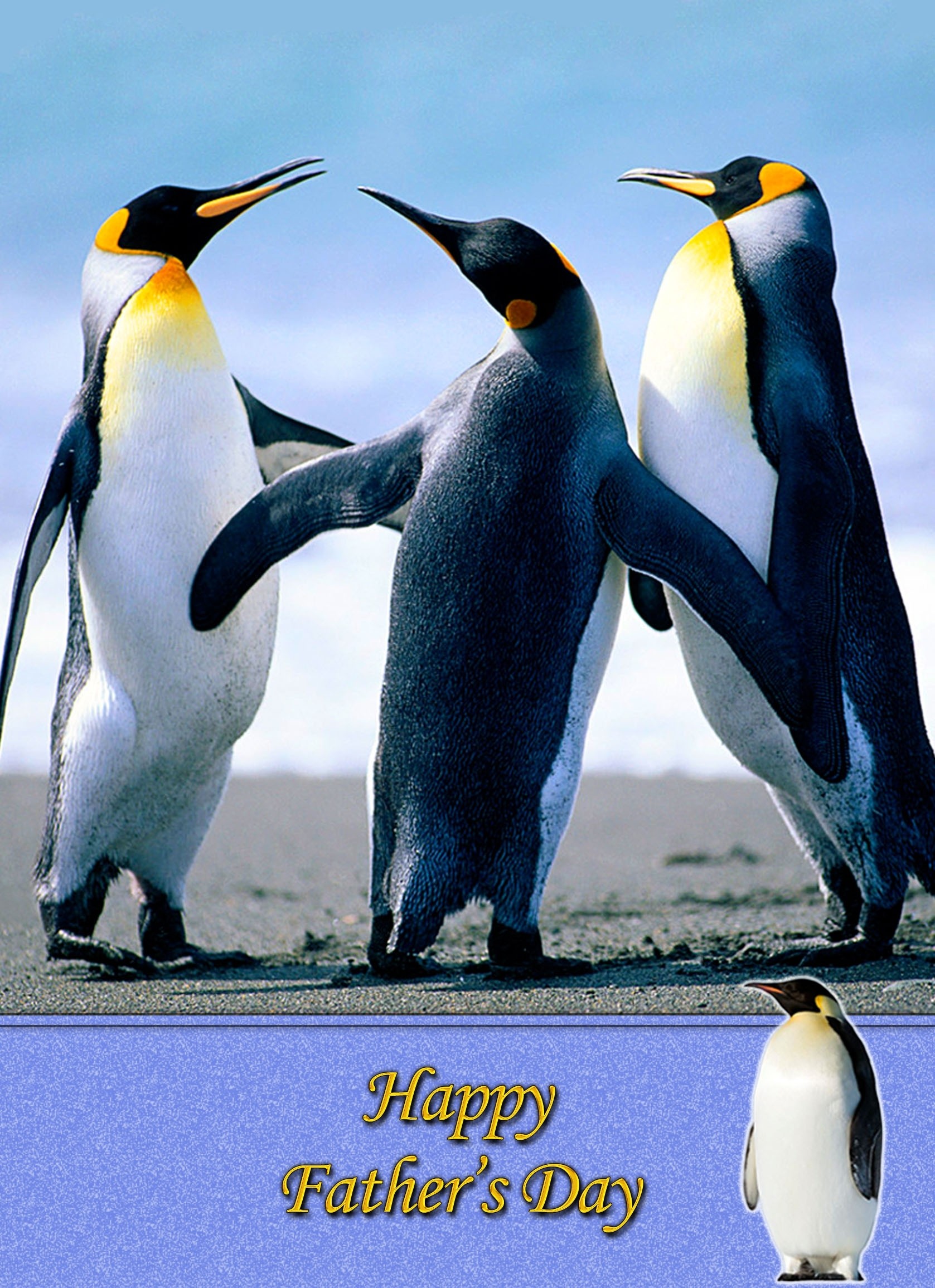 Penguin Father's Day Card