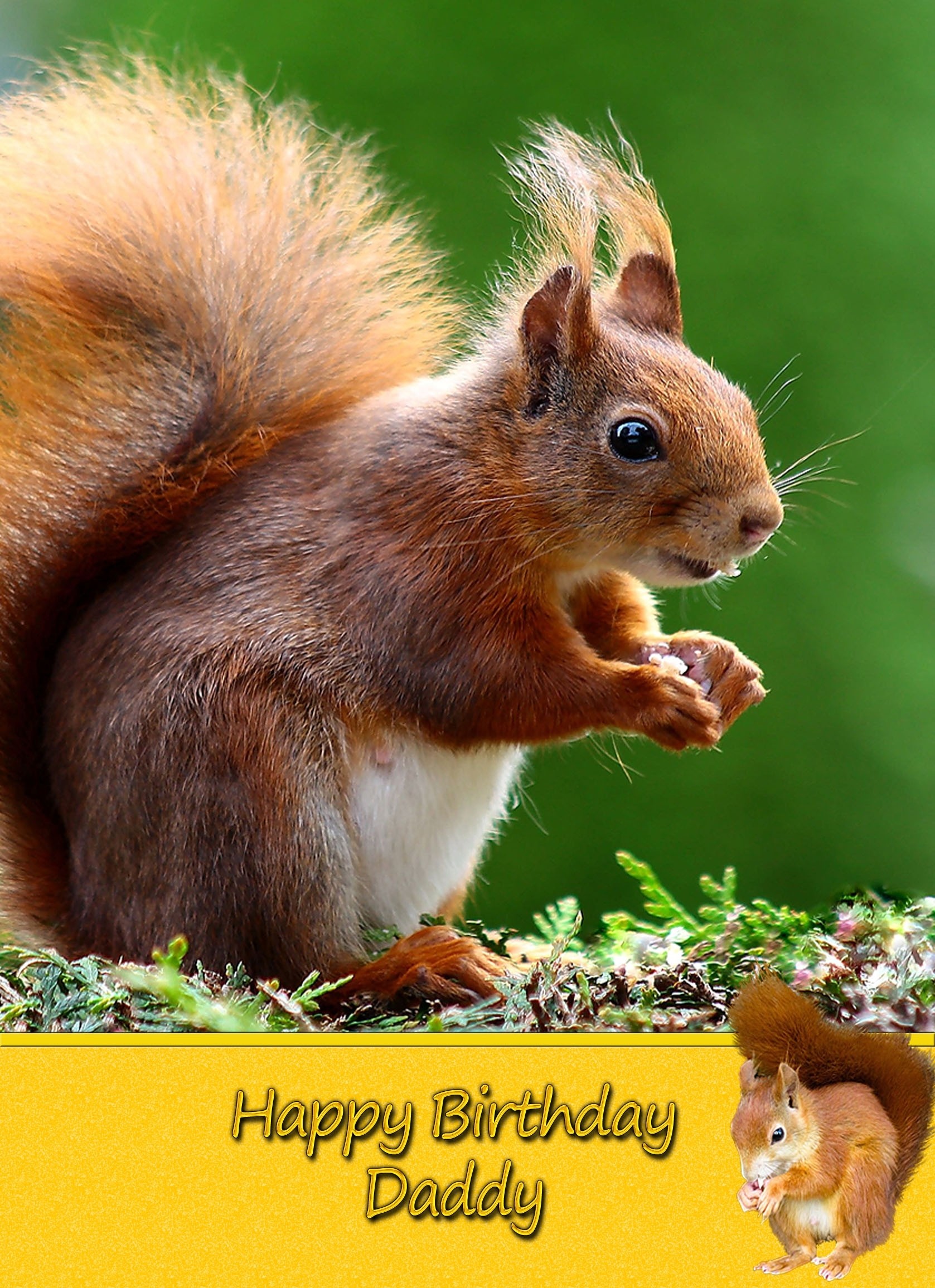 Personalised Squirrel Card