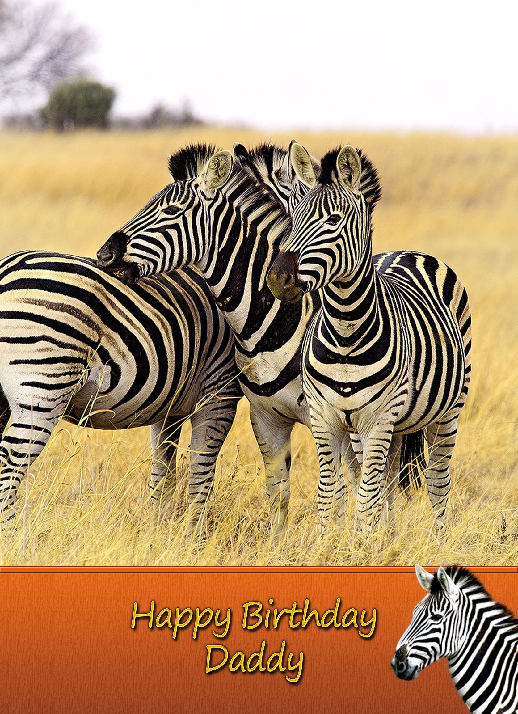 Personalised Zebra Card