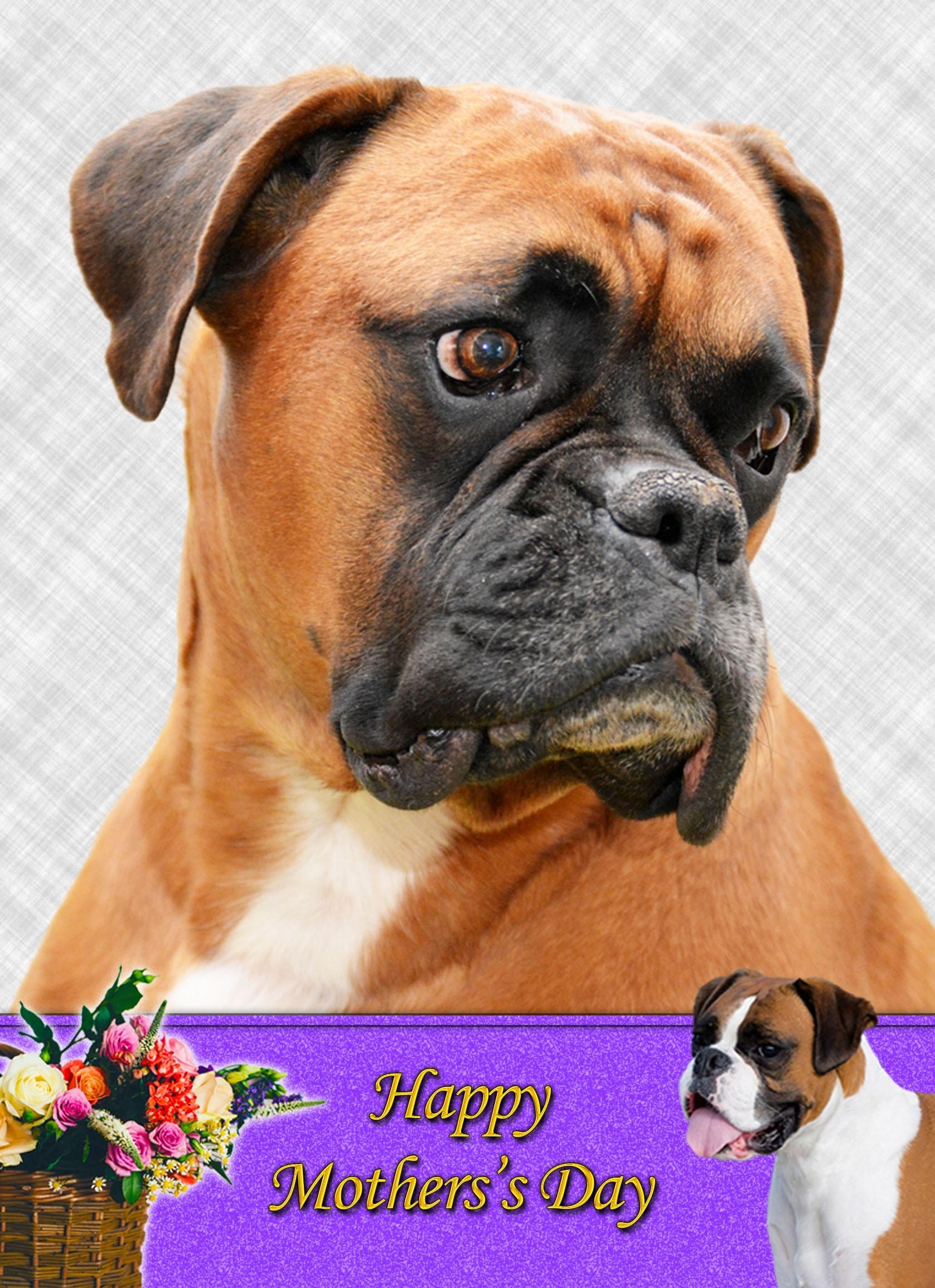 Boxer Mother's Day Card