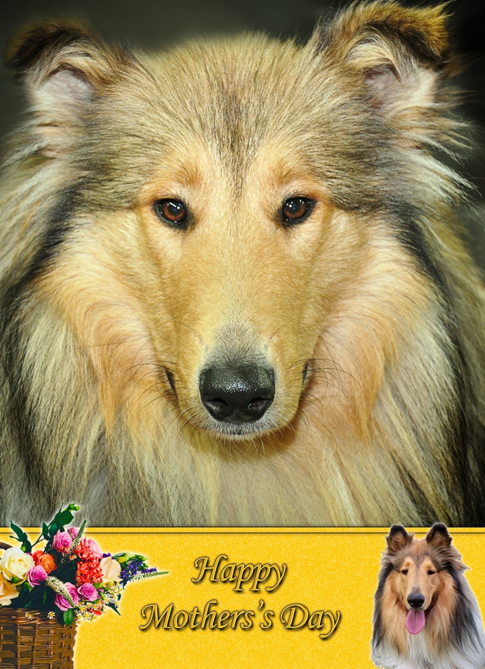 Rough Collie Mother's Day Card