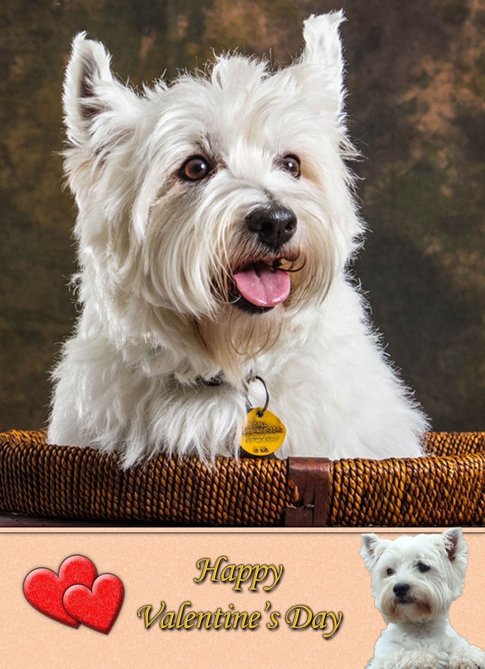 West Highland Terrier Valentine's Day Card