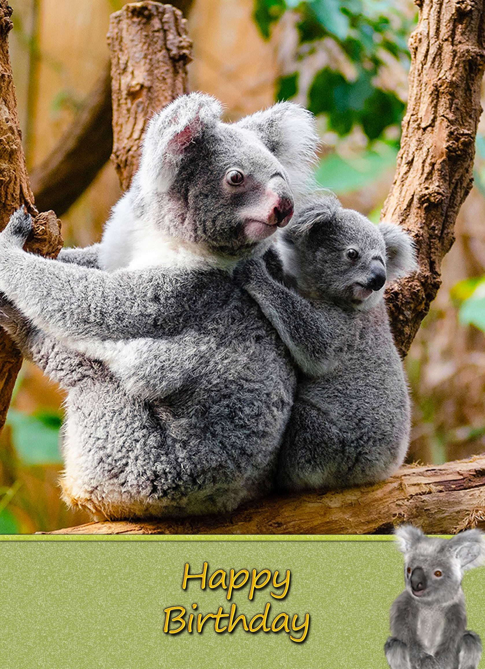 Koala Bear Birthday Card