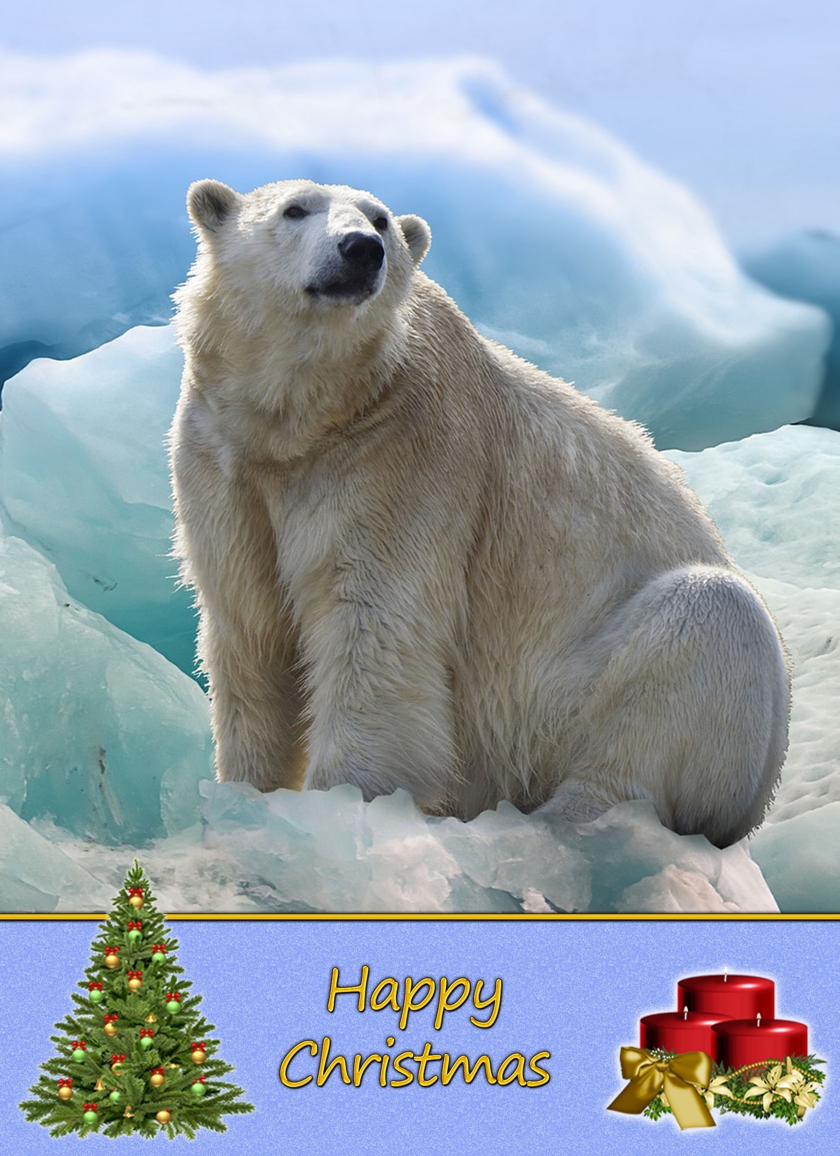 Polar Bear christmas card