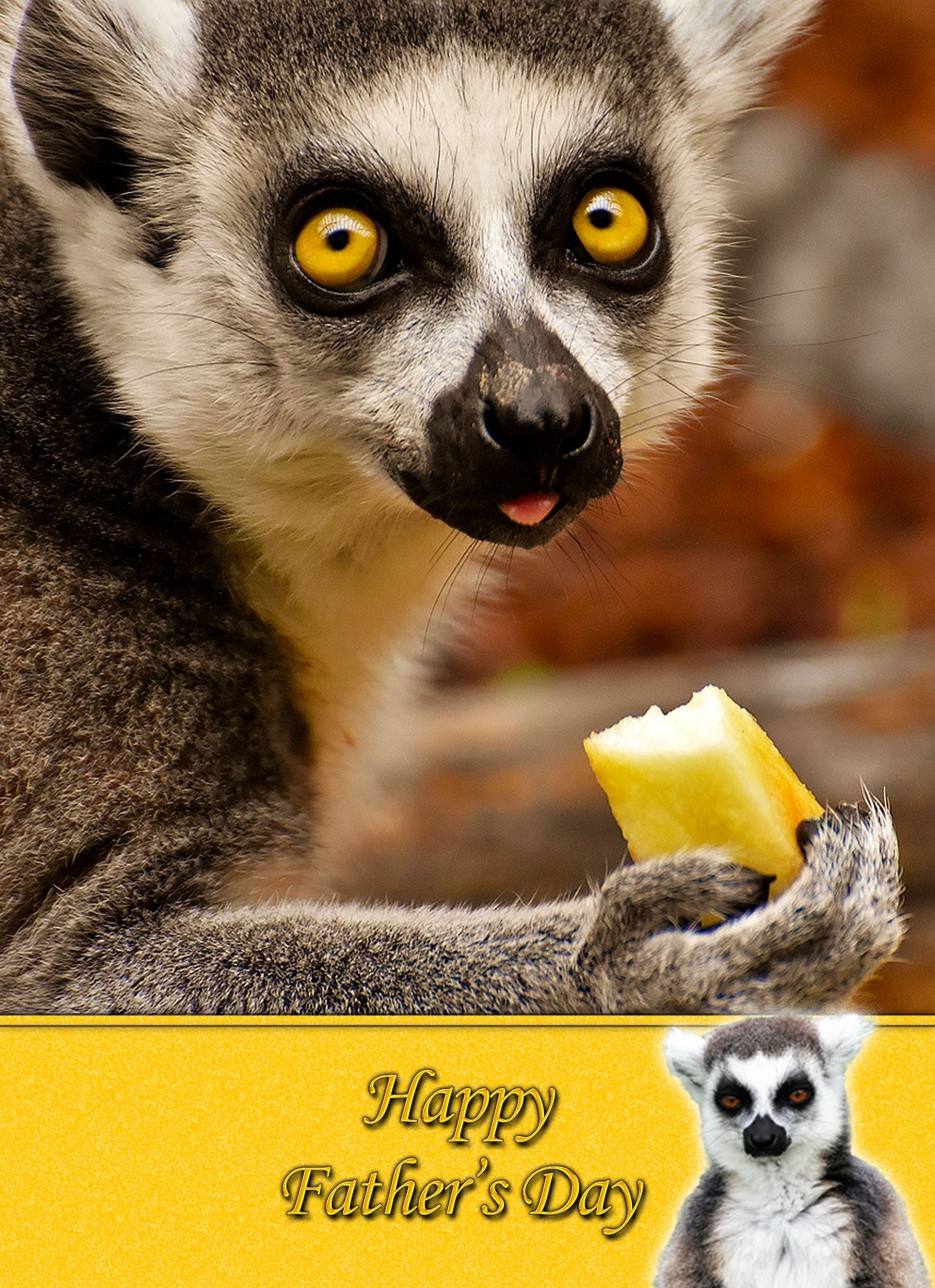 Lemur Father's Day Card