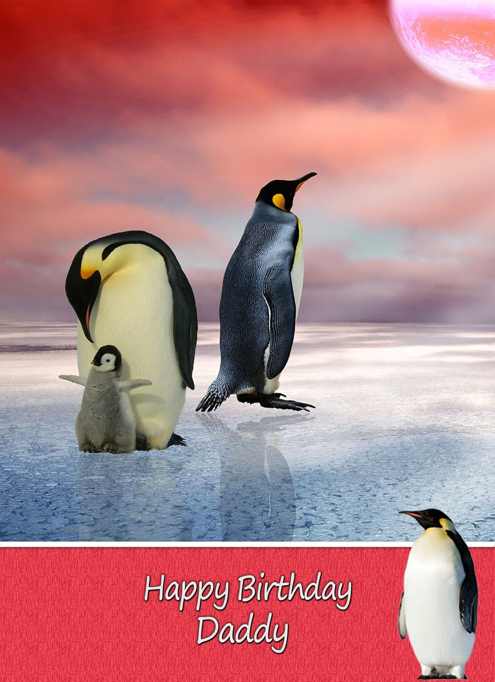 Personalised Penguin Card