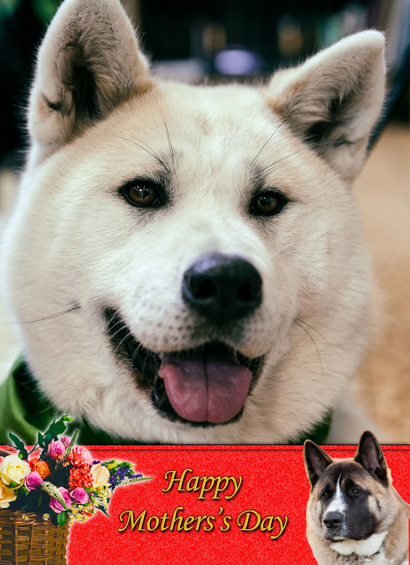 Akita Mother's Day Card