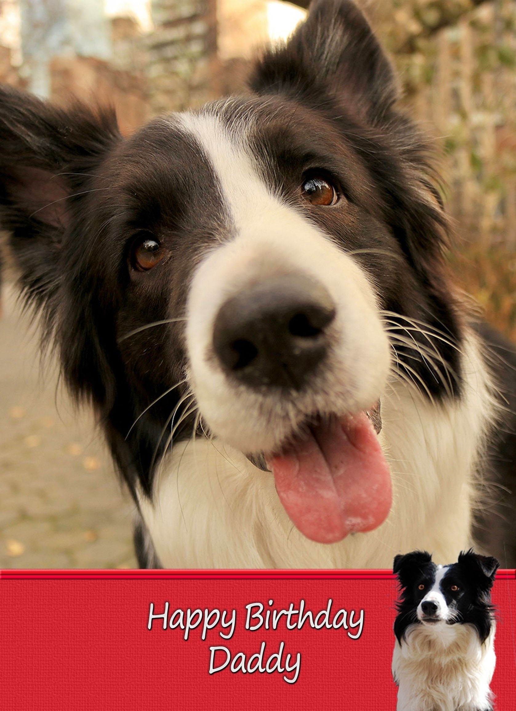 Personalised Border Collie Card