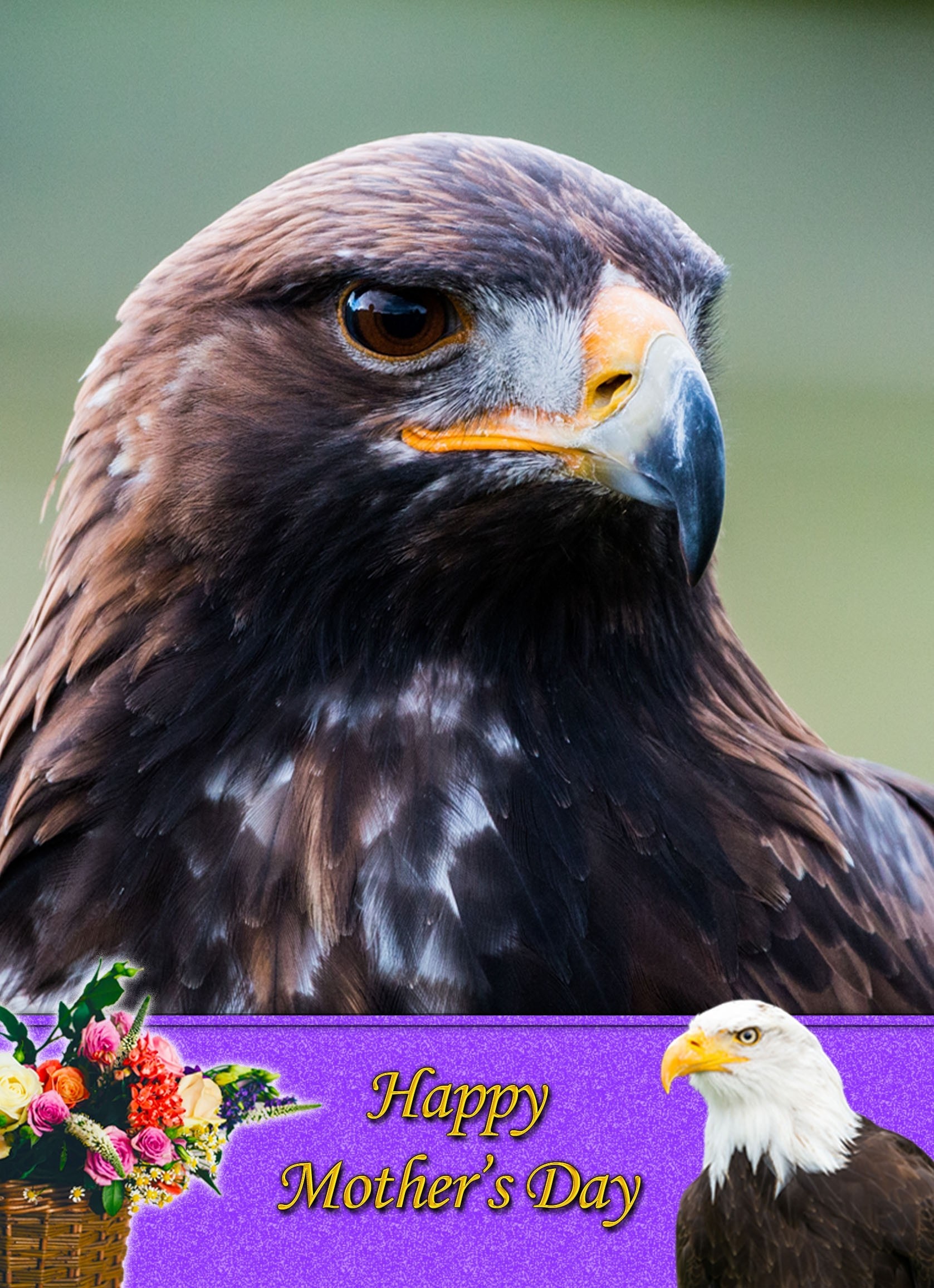 Eagle Mother's Day Card
