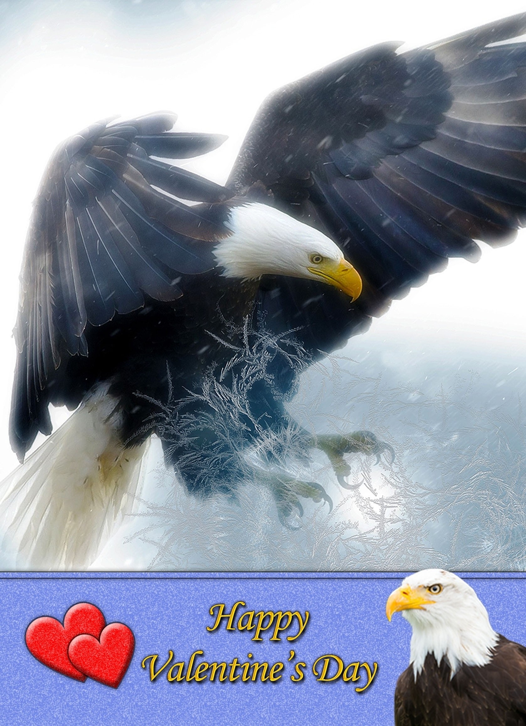 Eagle Valentine's Day Card