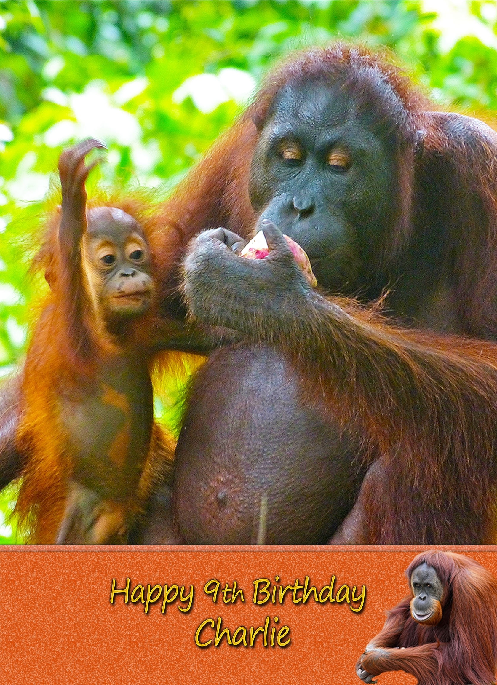 Personalised Orangutan Card