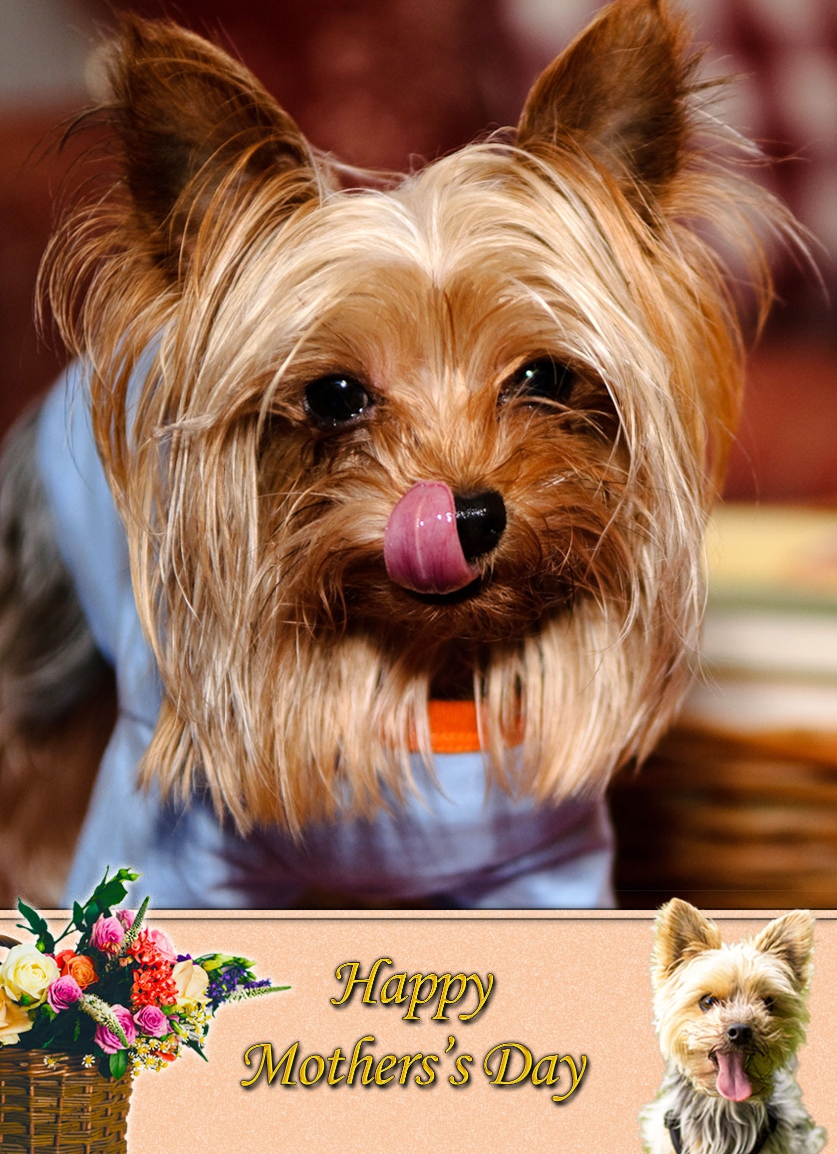 Yorkshire Terrier Mother's Day Card