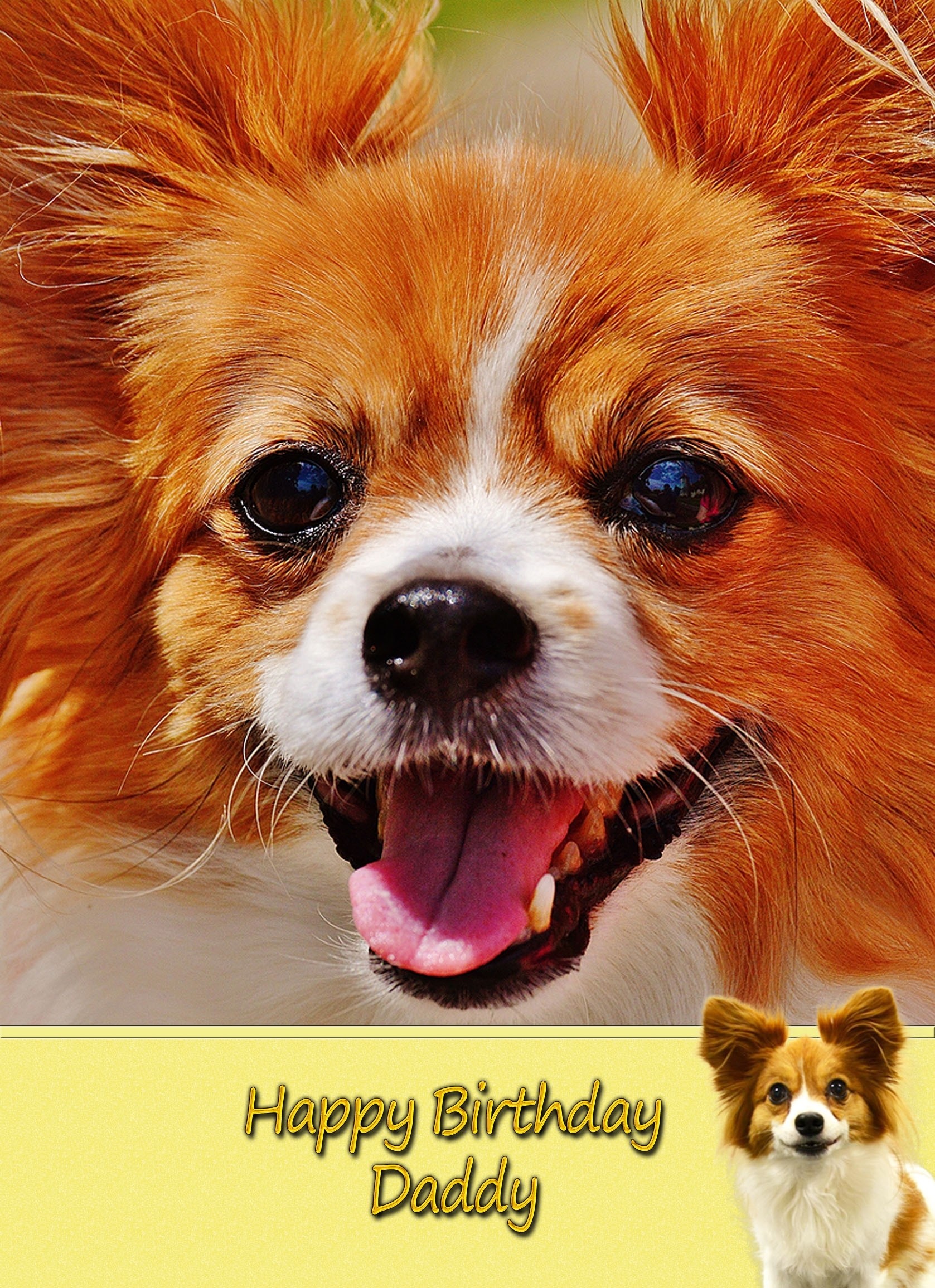 Personalised Papillon Card