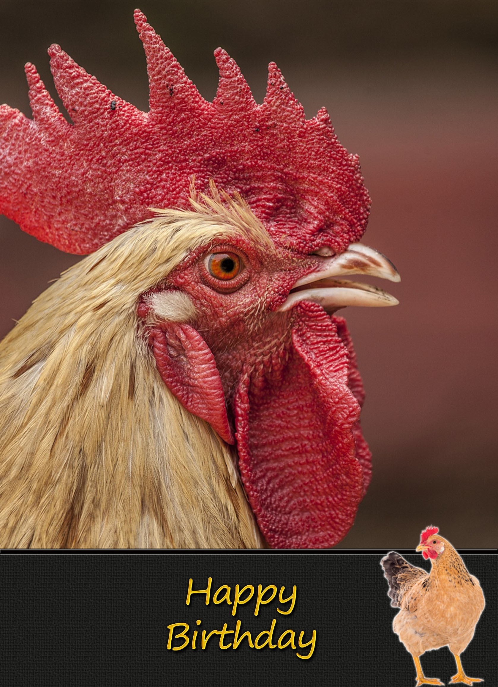 Chicken Birthday Card