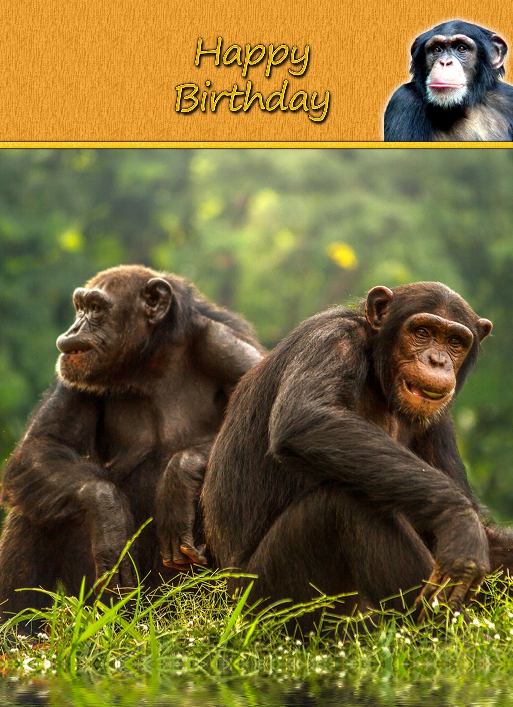 Chimpanzee Birthday Card