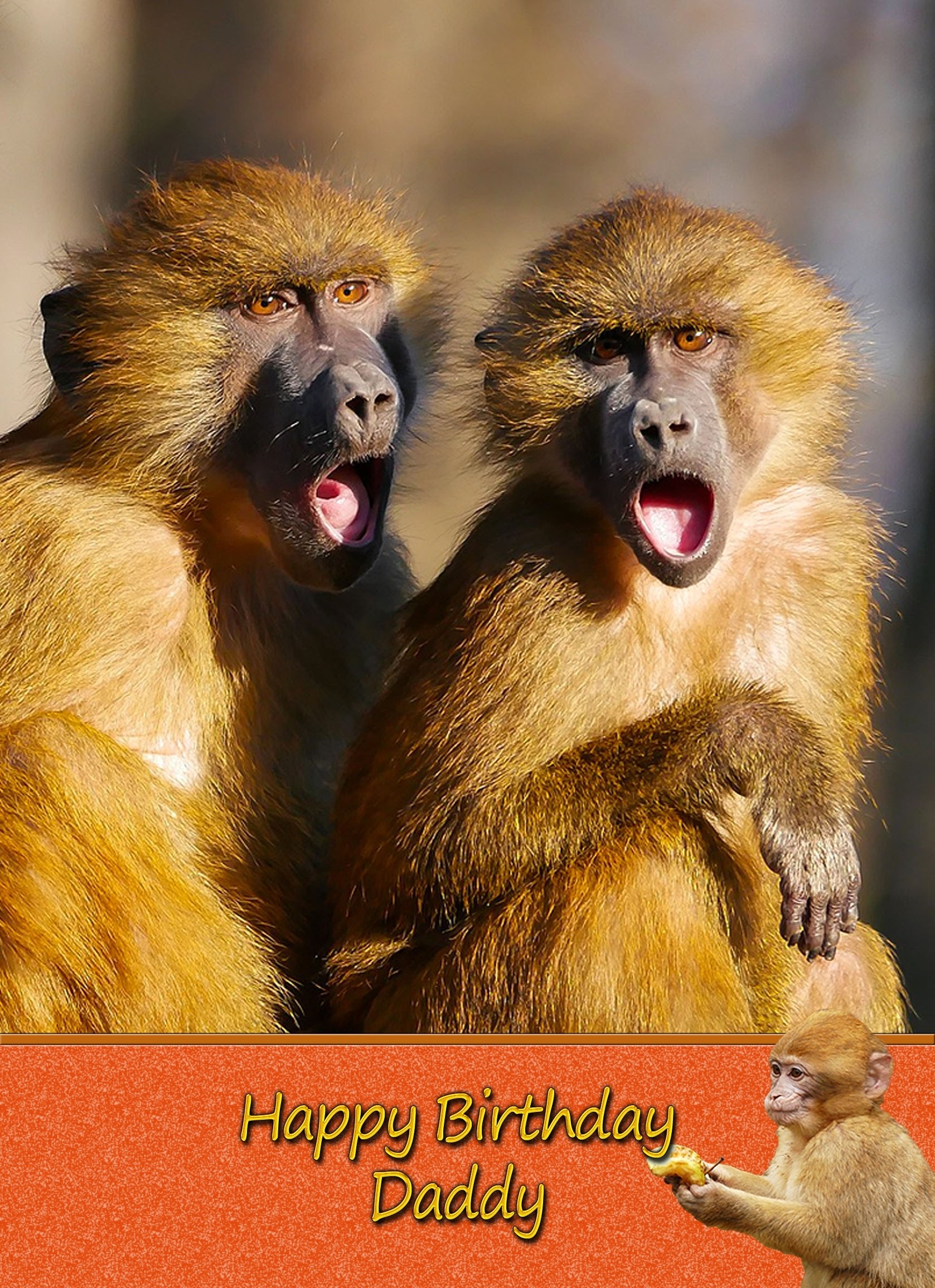 Personalised Monkey Card