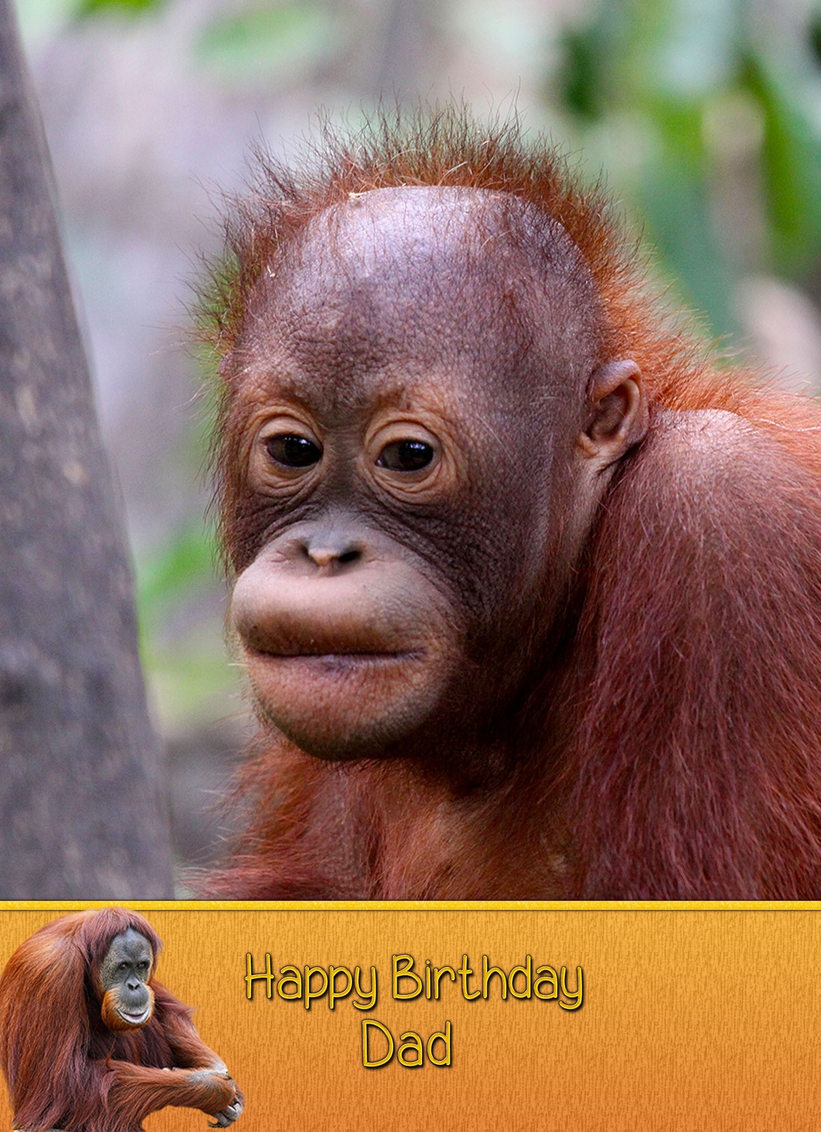 Personalised Orangutan Card