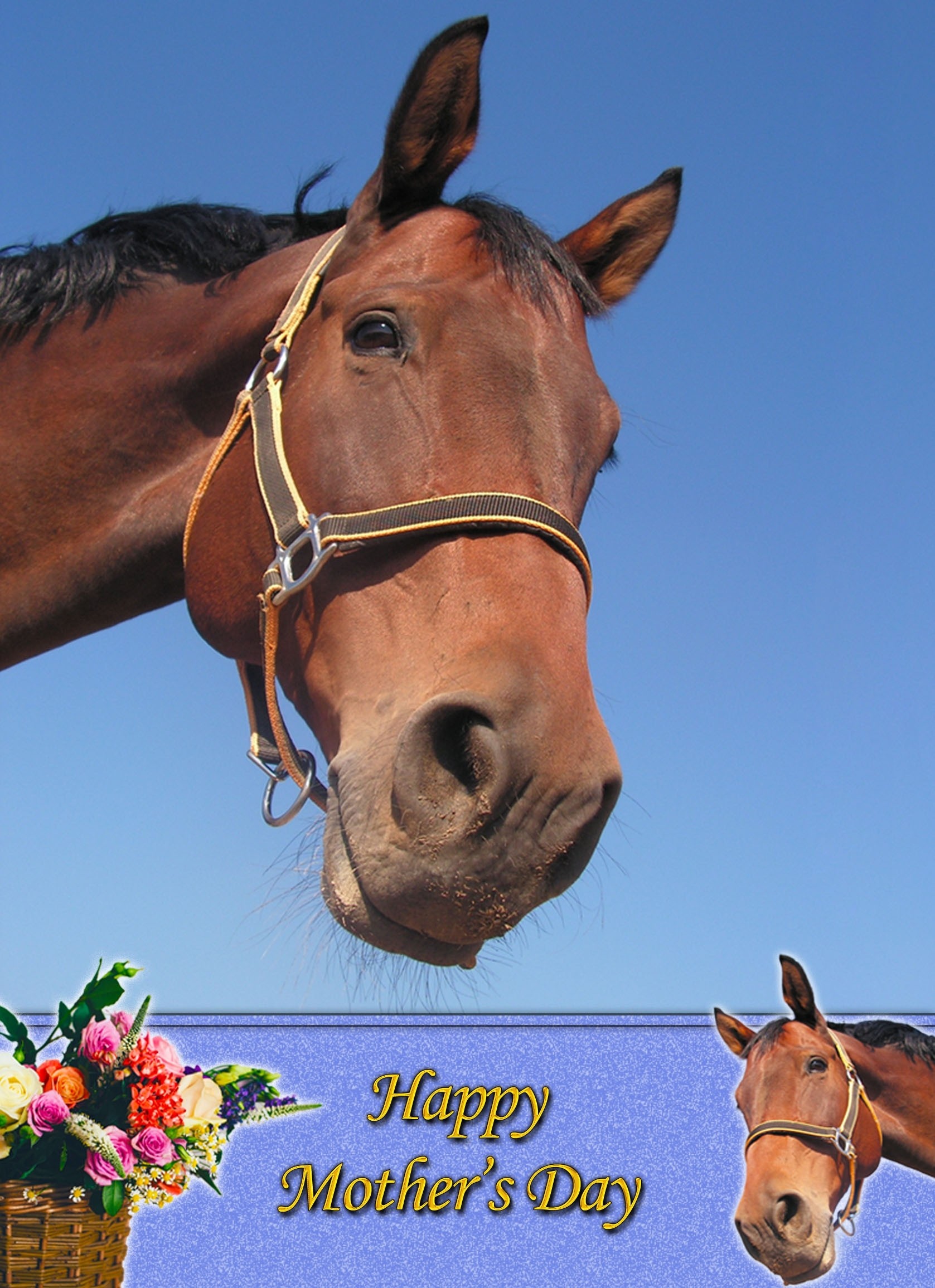 Horse Mother's Day Card