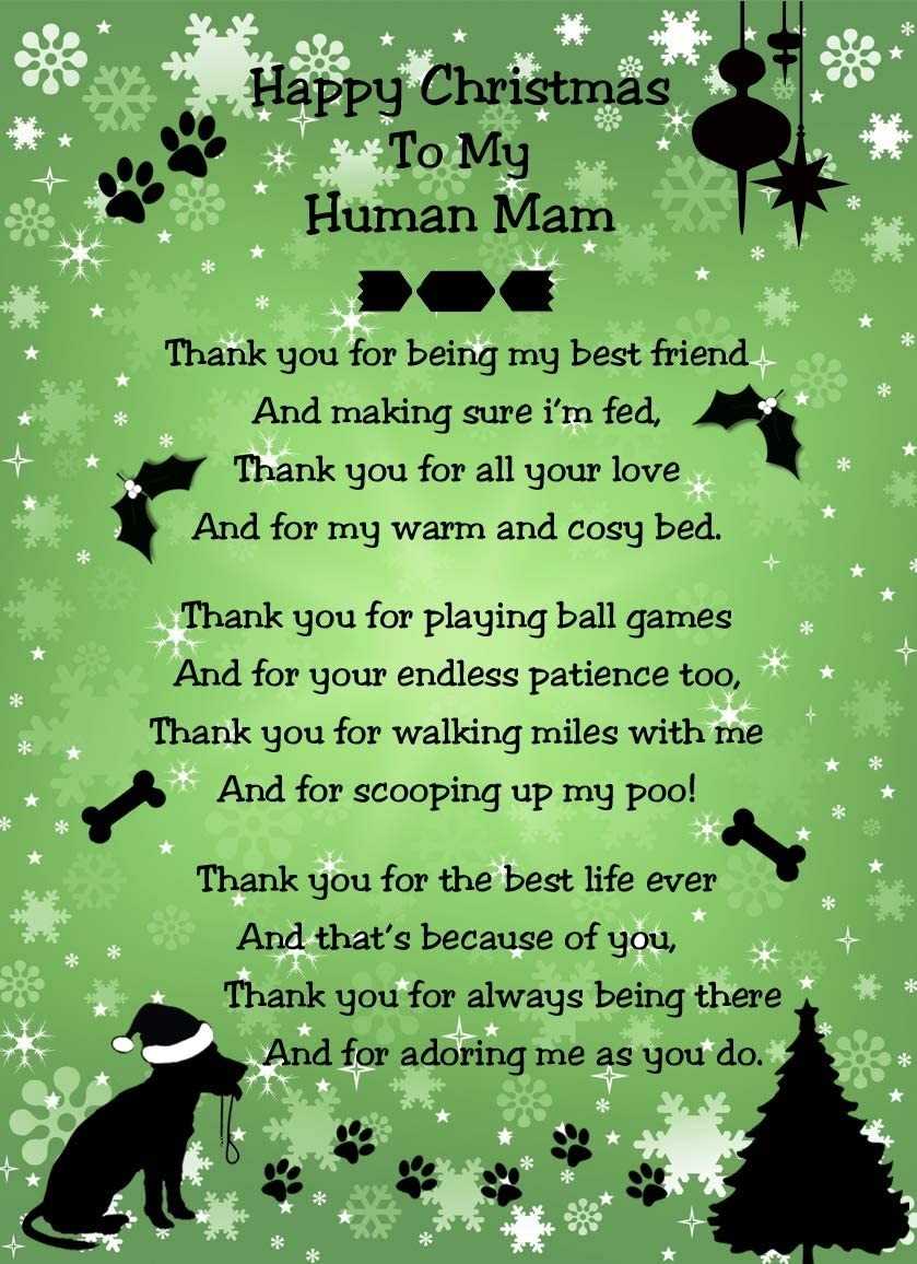 from The Dog Verse Poem Christmas Card (Green, Happy Christmas, Human Mam)