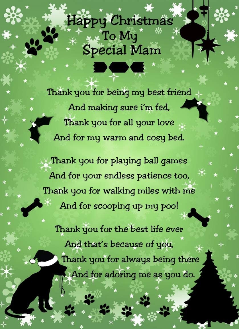 from The Dog Verse Poem Christmas Card (Green, Happy Christmas, Special Mam)