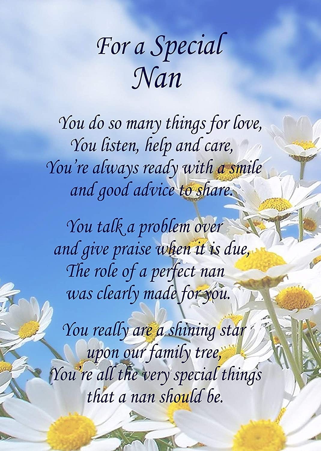 Special Nan Poem Verse Greeting Card