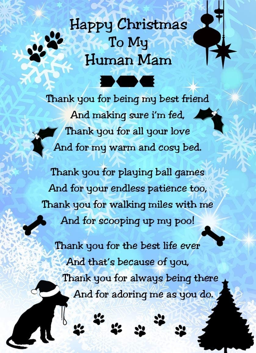 from The Dog Verse Poem Christmas Card (Snowflake, Happy Christmas, Human Mam)