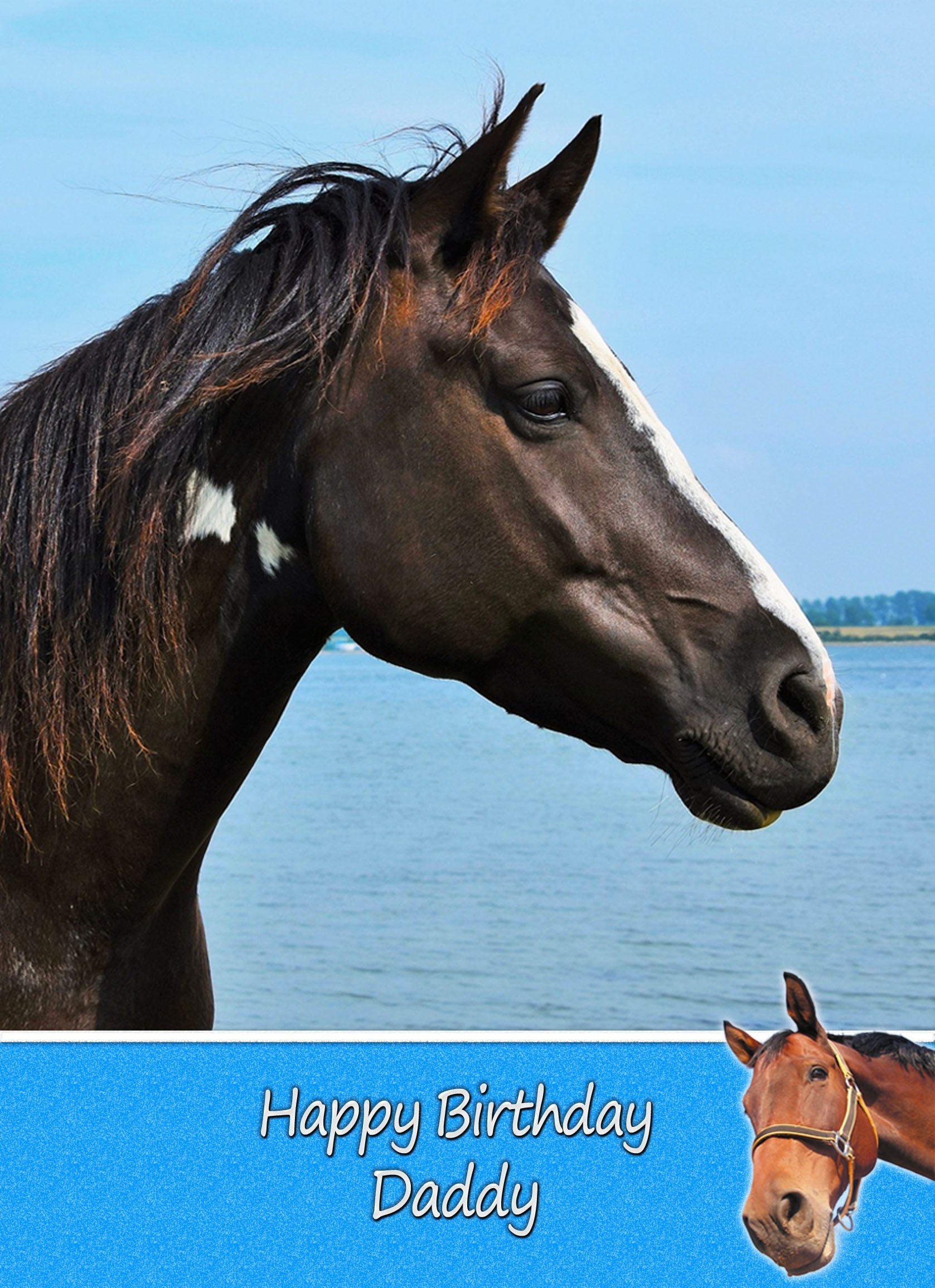 Personalised Horse Card