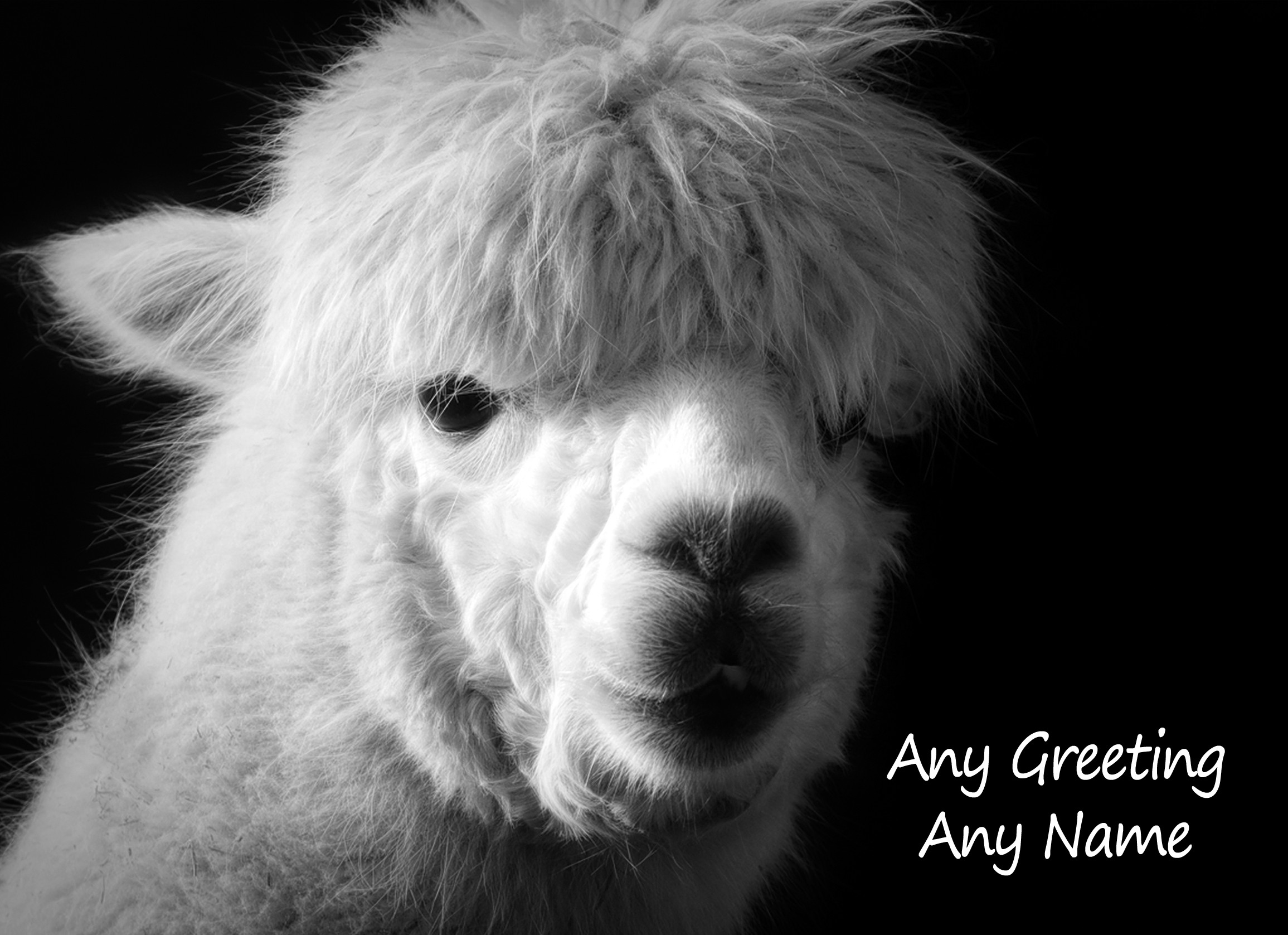 Personalised Alpaca Black and White Art Greeting Card (Birthday, Christmas, Any Occasion)
