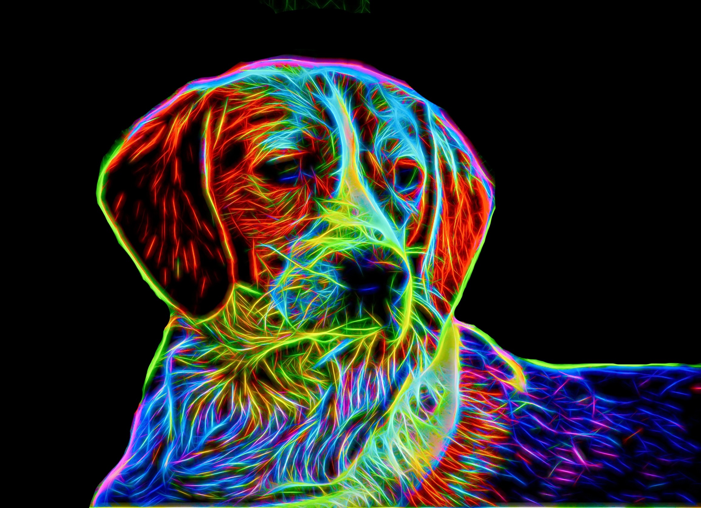 Beagle Neon Art Blank Greeting Card