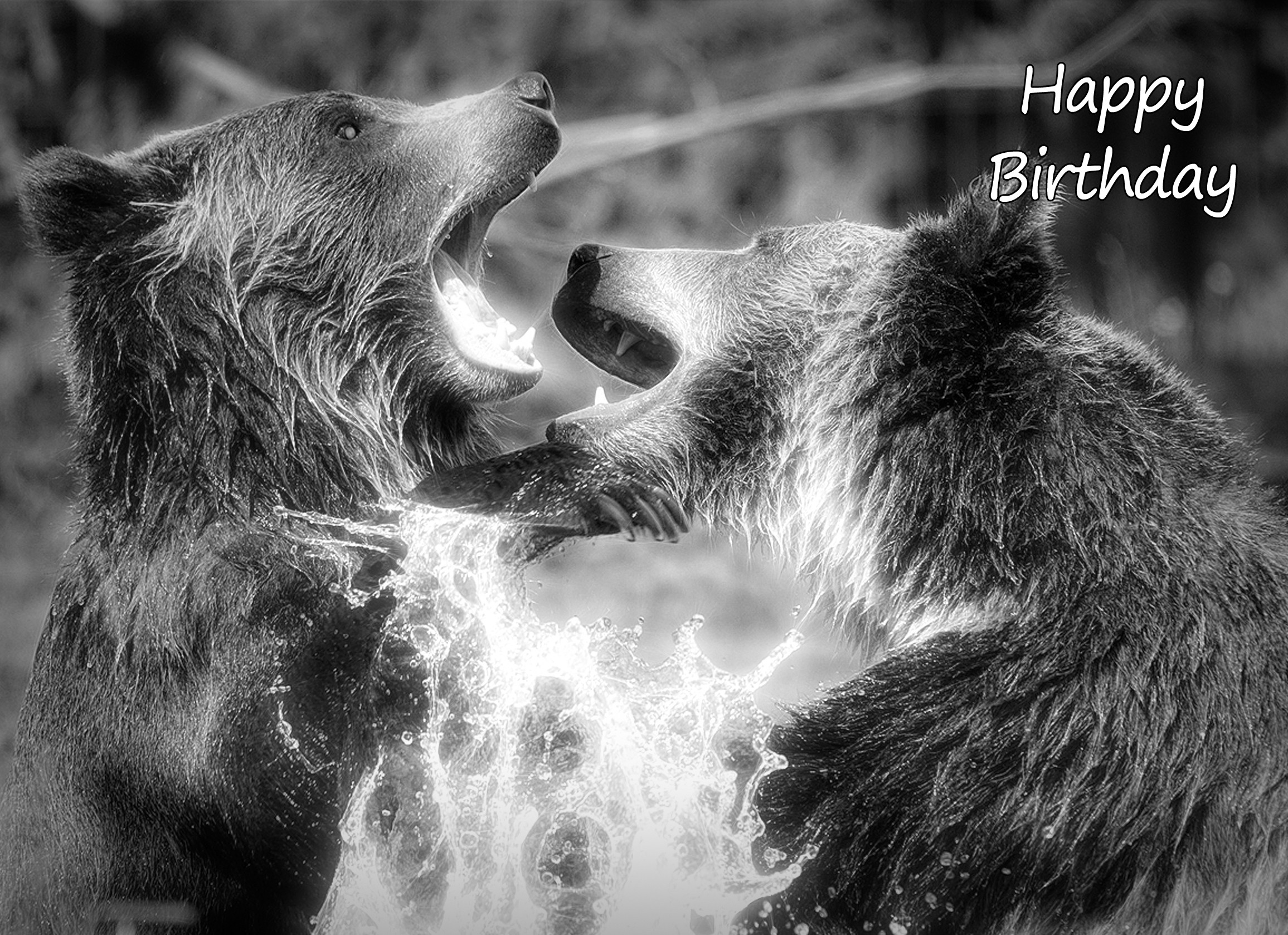 Grizzly Bear Black and White Art Birthday Card