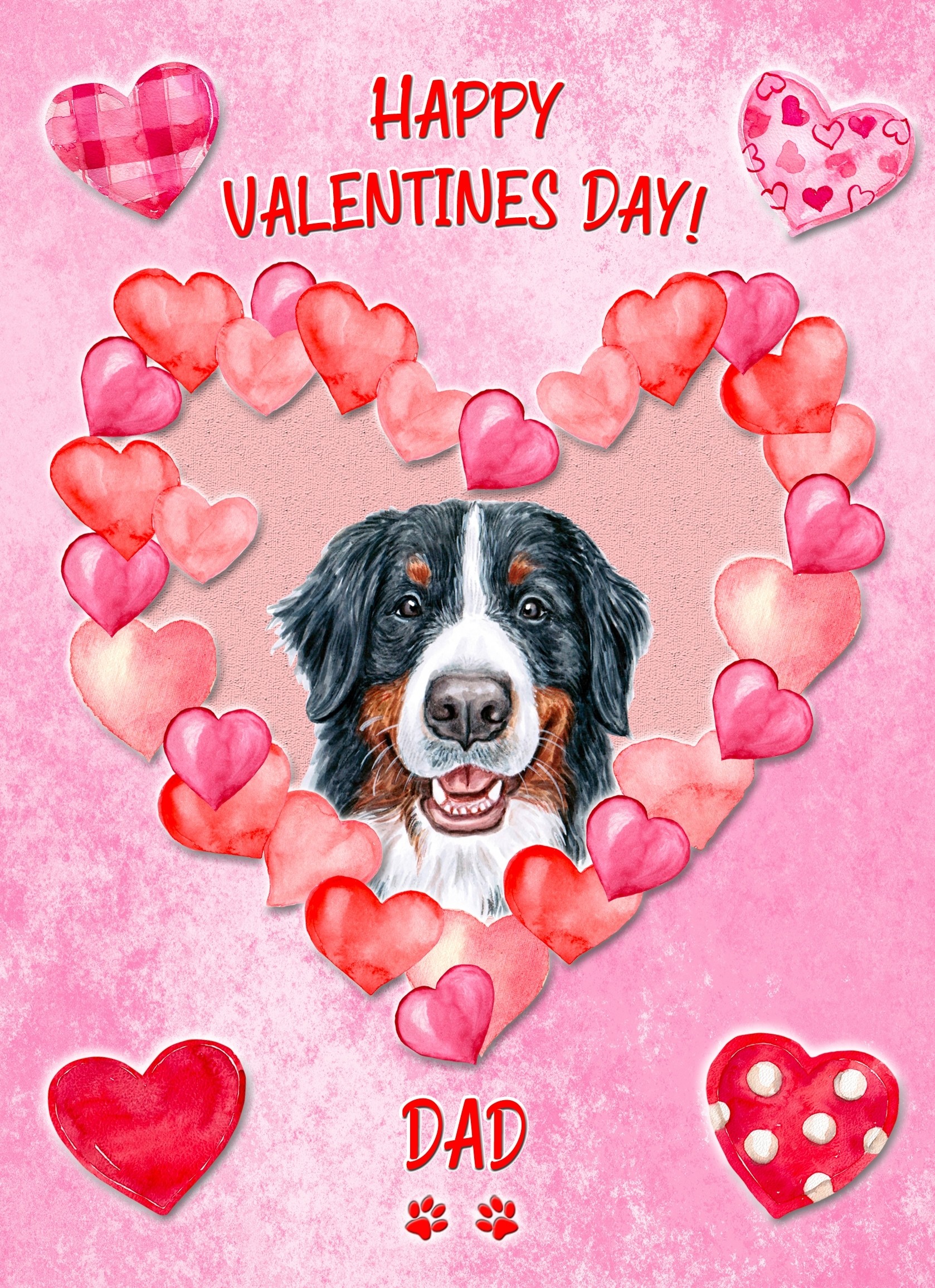 Bernese Mountain Dog Valentines Day Card (Happy Valentines, Dad)