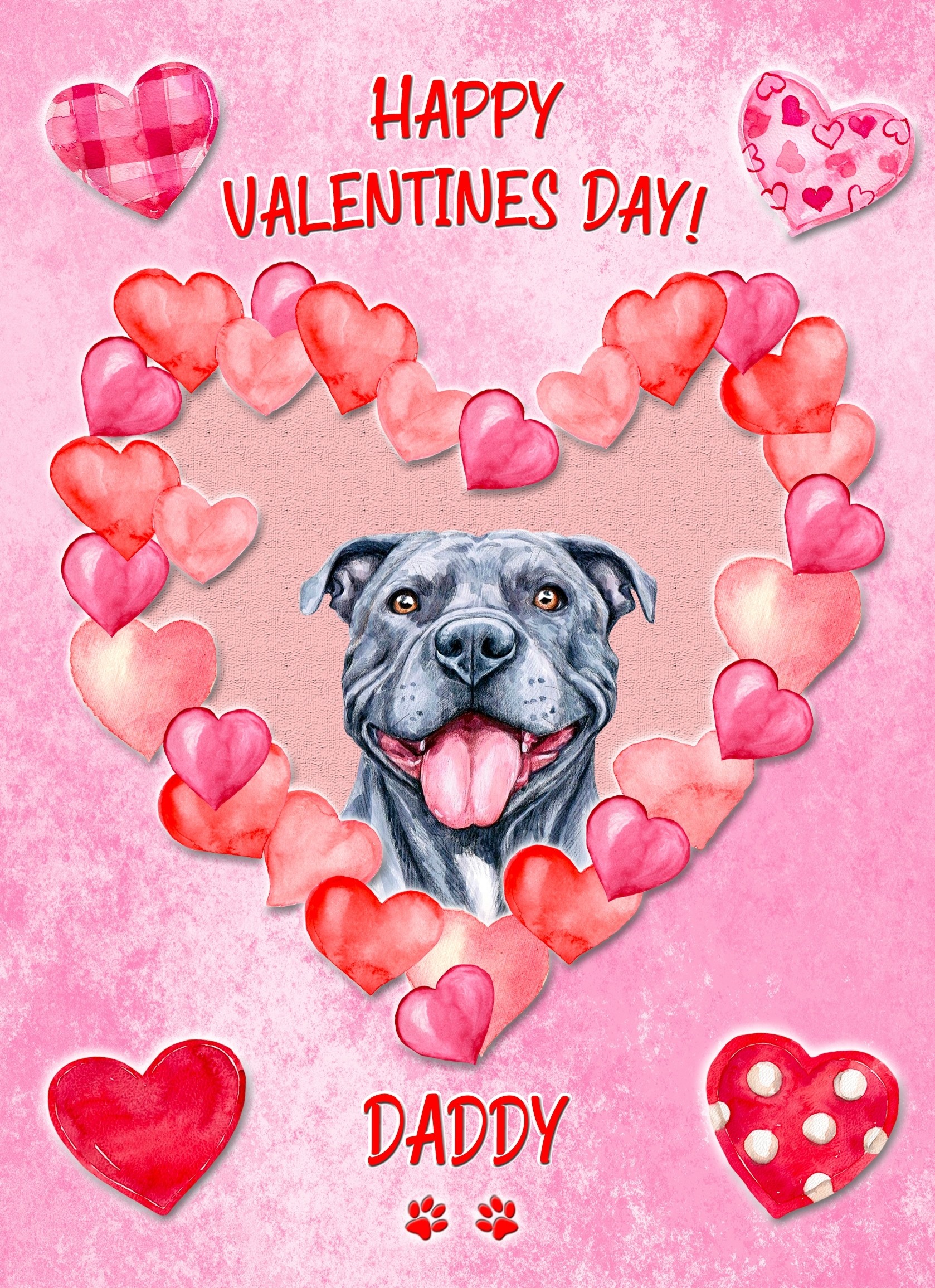 Staffordshire Bull Terrier Dog Valentines Day Card (Happy Valentines, Daddy)