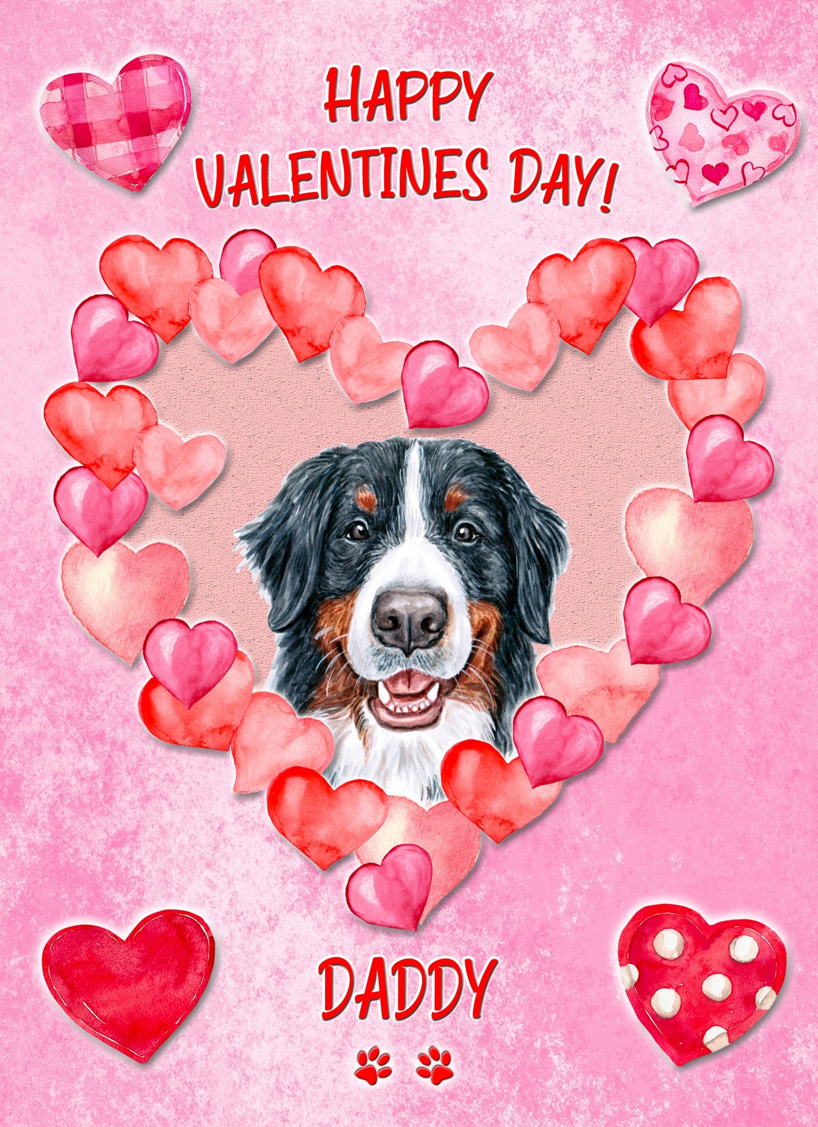 Bernese Mountain Dog Valentines Day Card (Happy Valentines, Daddy)