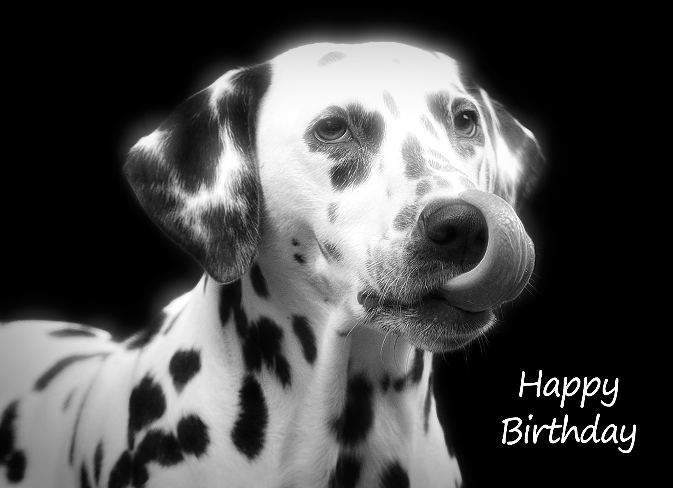 Dalmatian Black and White Art Birthday Card