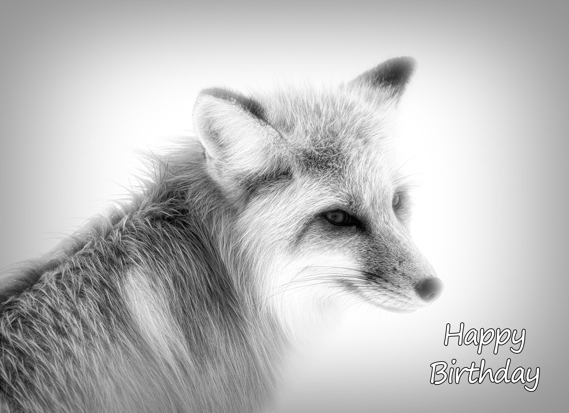 Fox Black and White Art Birthday Card