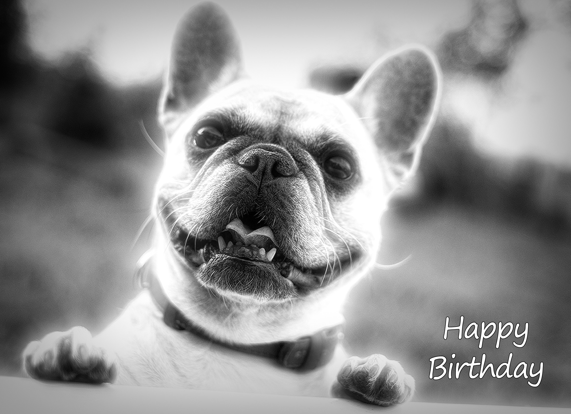 French Bulldog Black and White Art Birthday Card