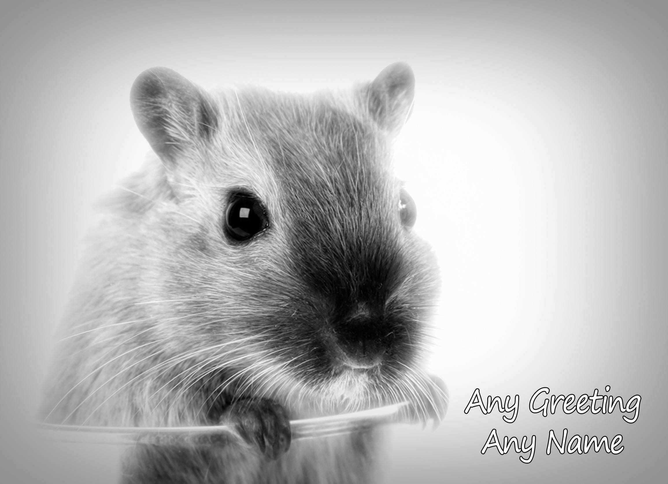 Personalised Gerbil Black and White Art Greeting Card (Birthday, Christmas, Any Occasion)