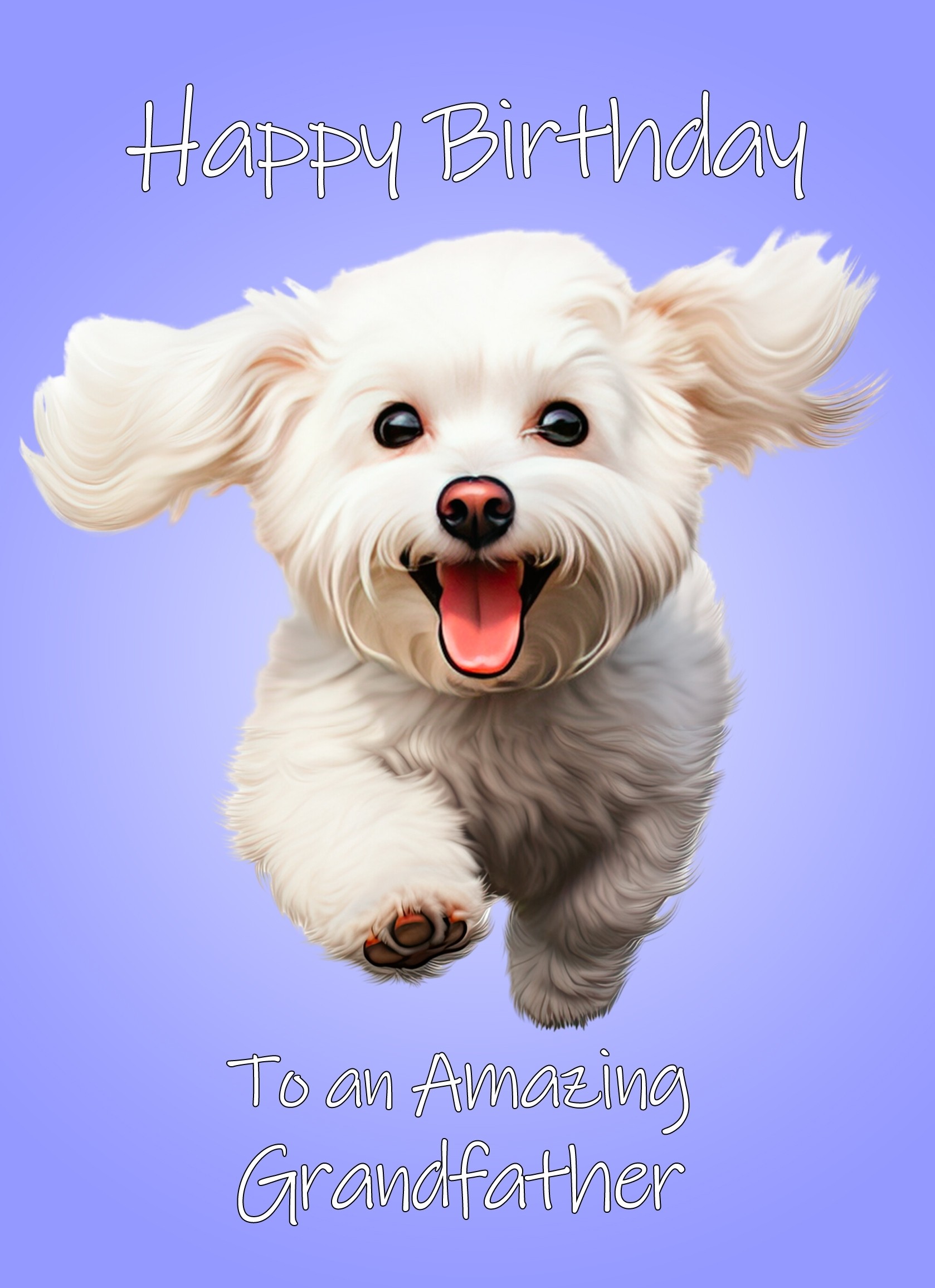 Bichon Frise Dog Birthday Card For Grandfather