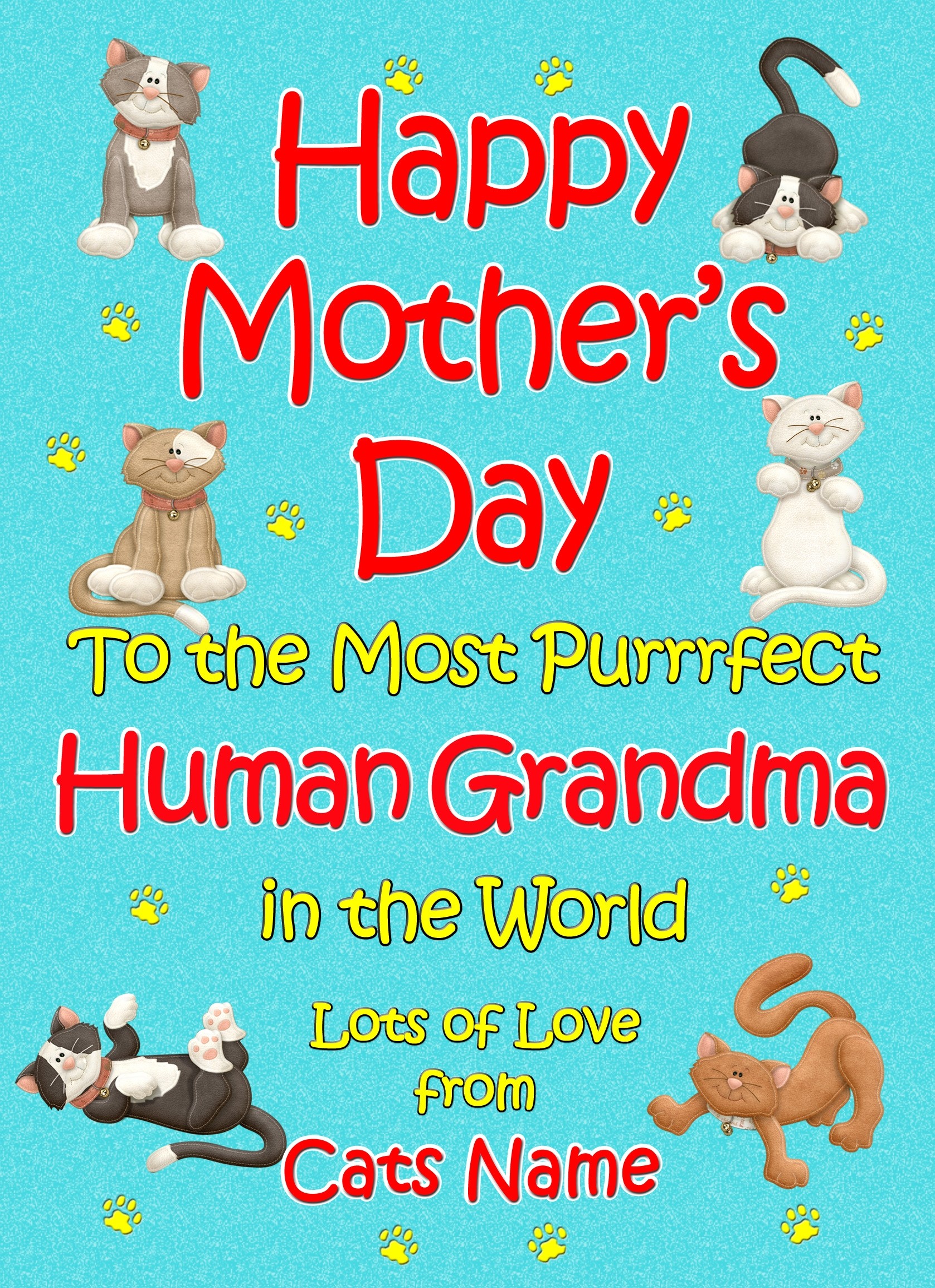 Personalised From The Cat Mothers Day Card (Turquoise, Purrrfect Human Grandma)